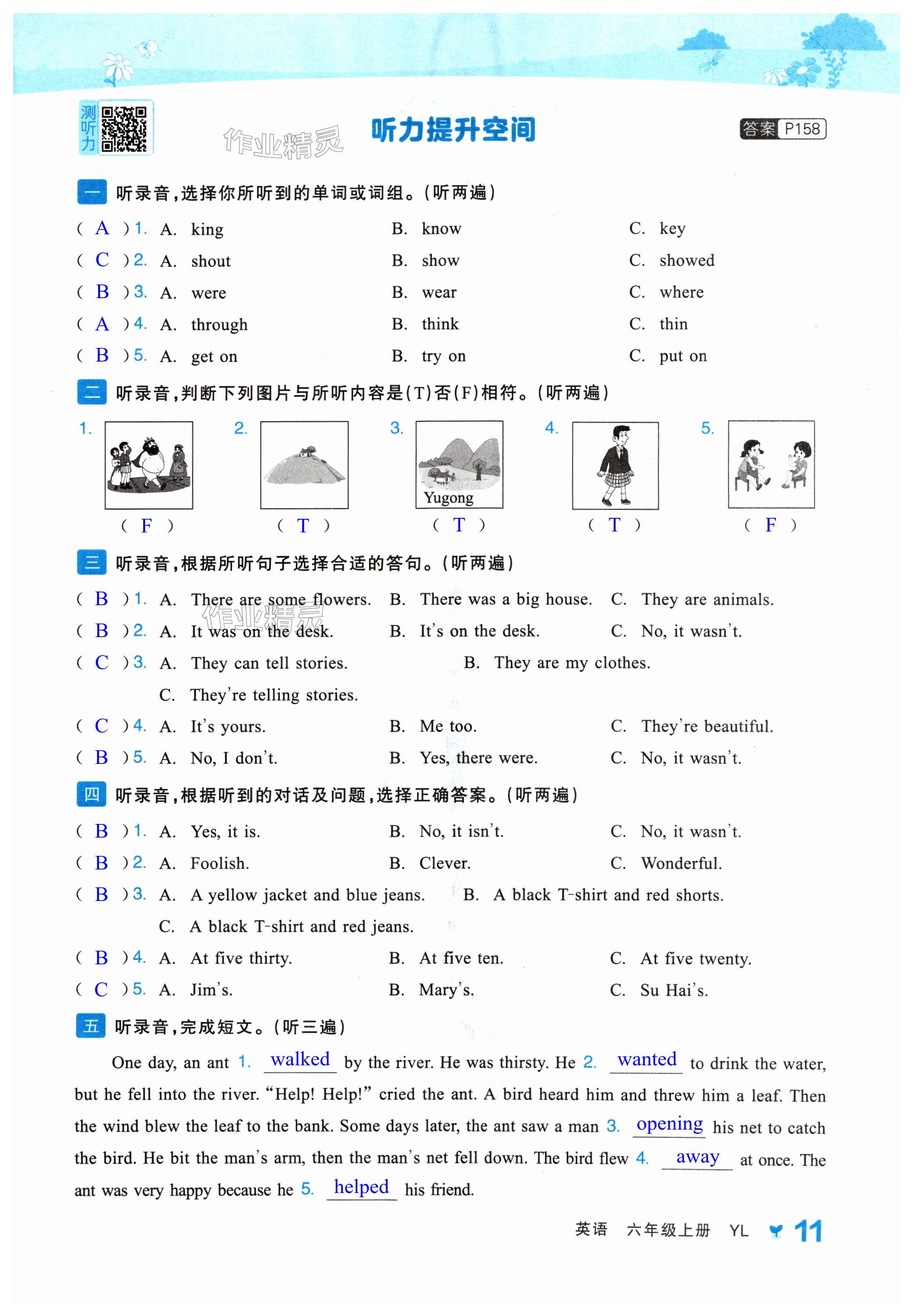 第11页