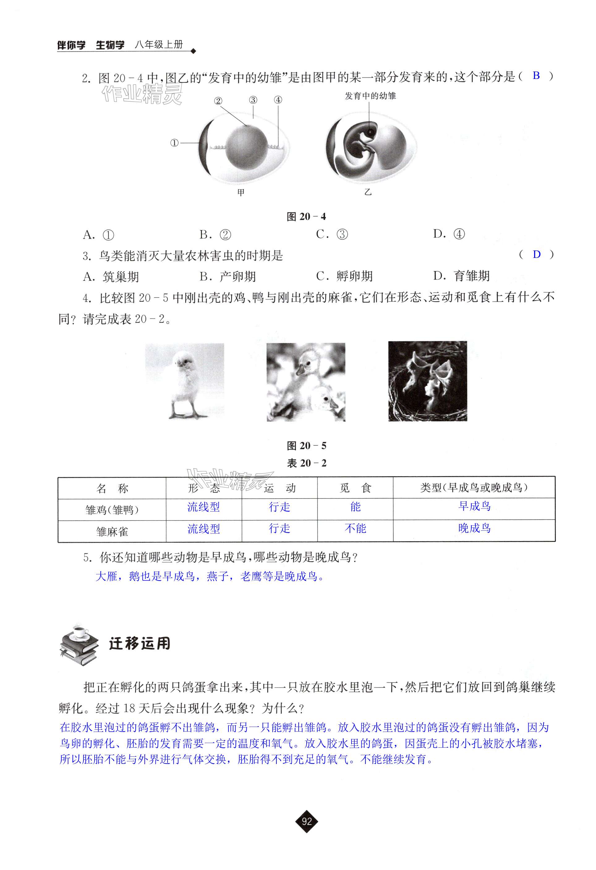 第92页