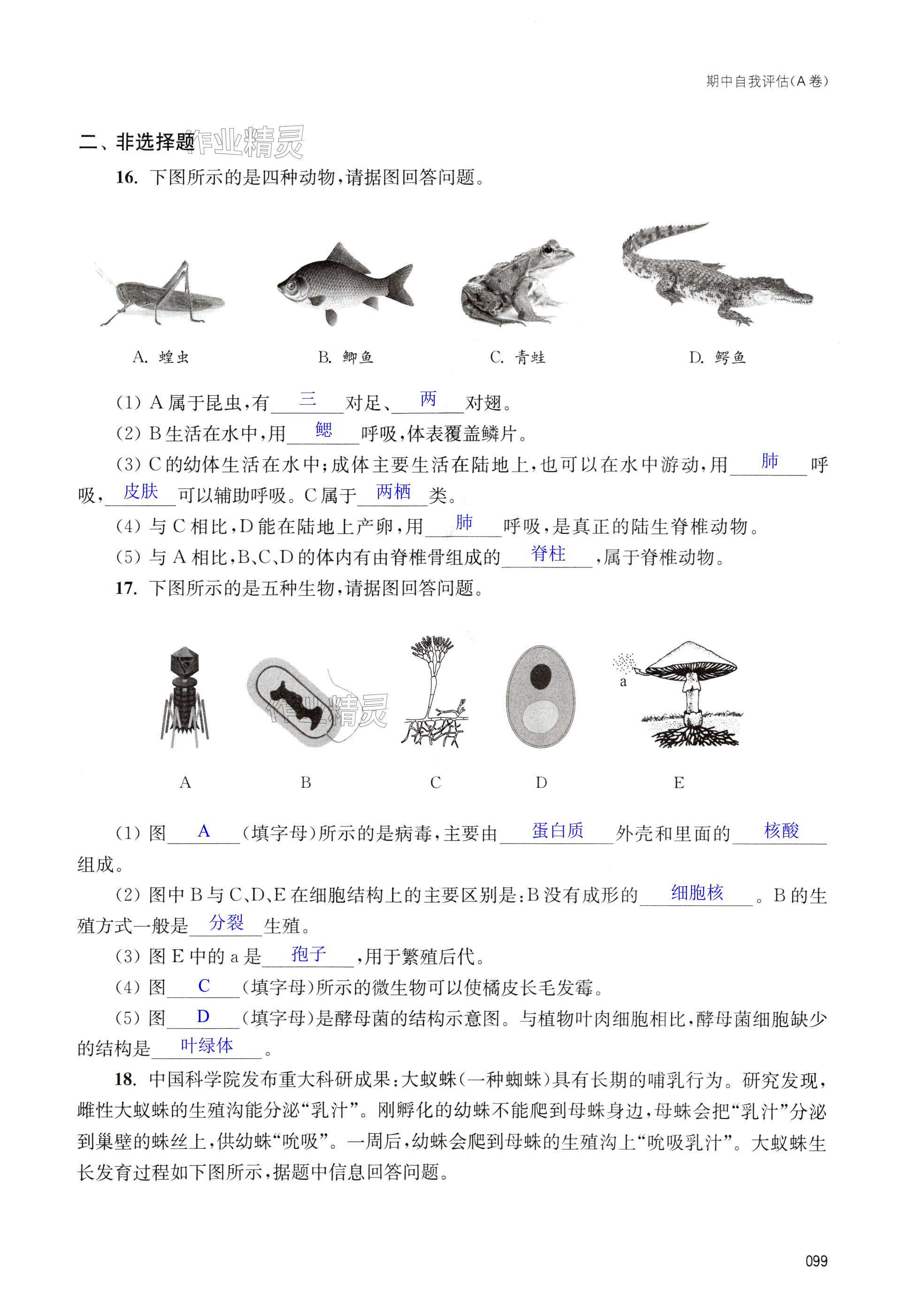 第99页
