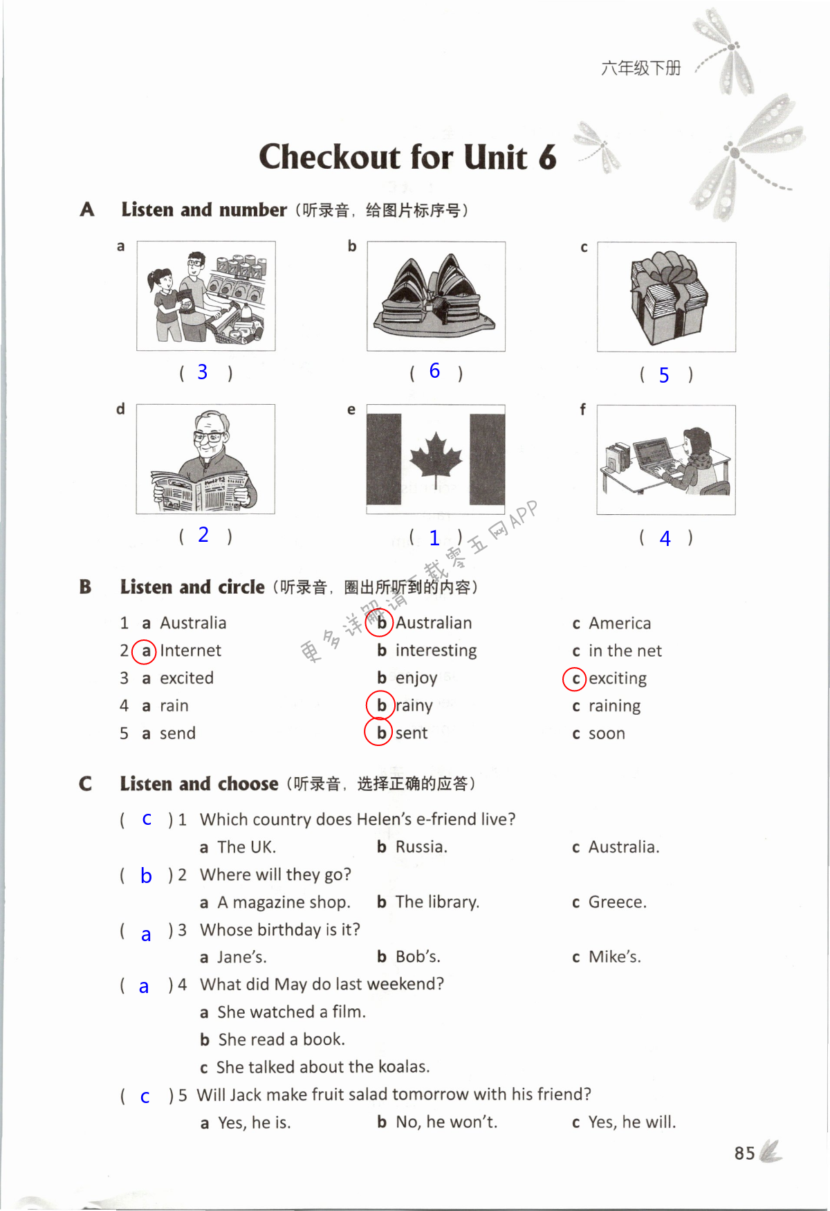 Unit 6 An interesting country - 第85页