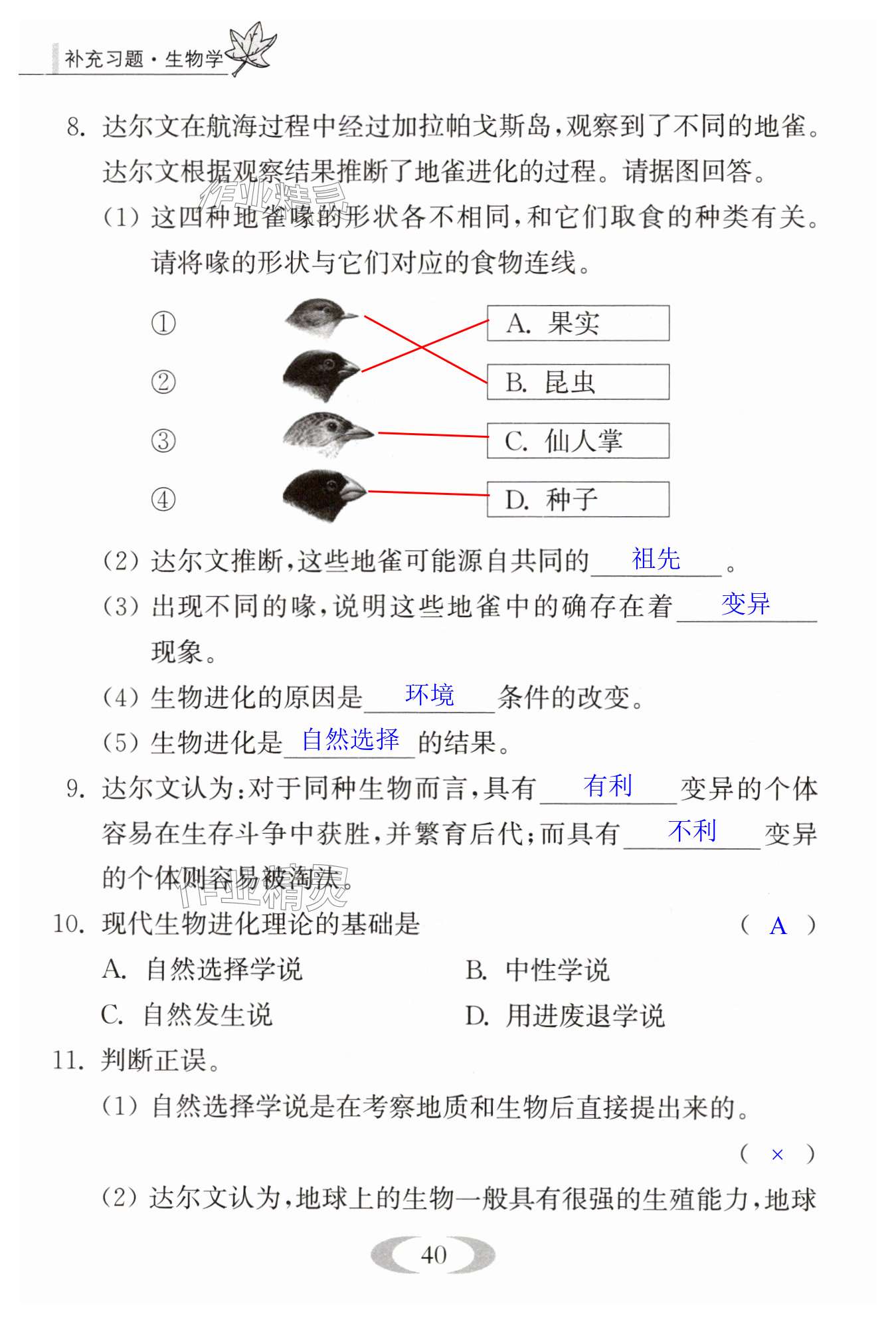 第40页