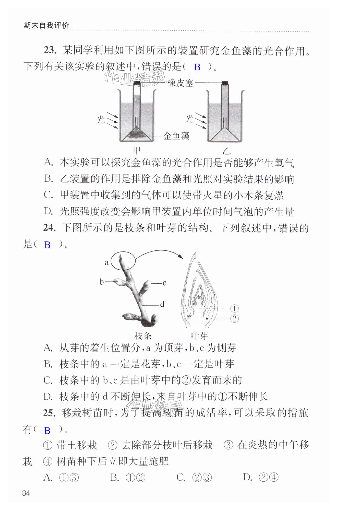 第84页