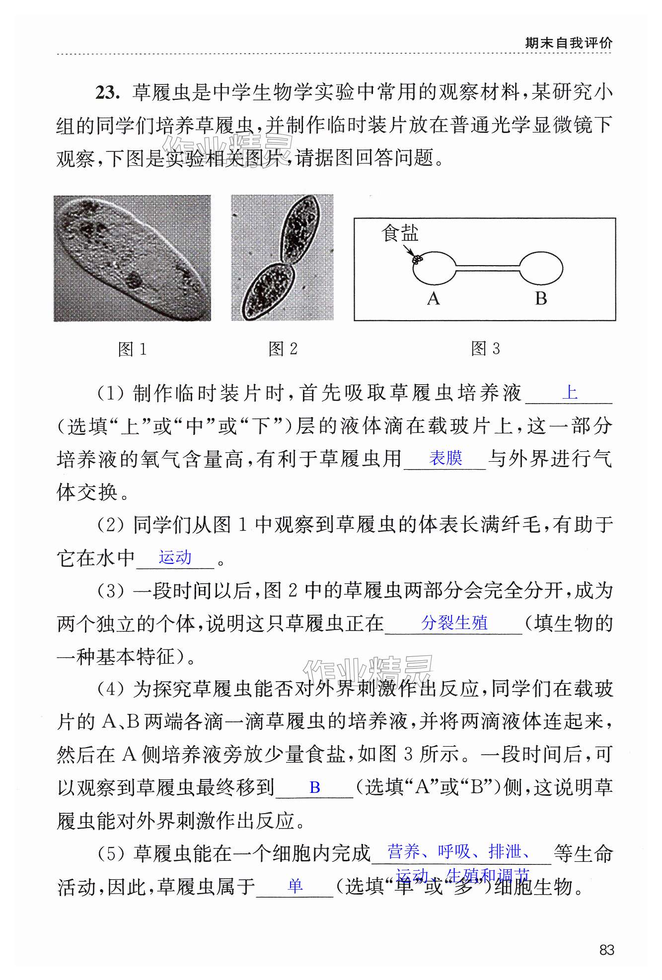 第83页