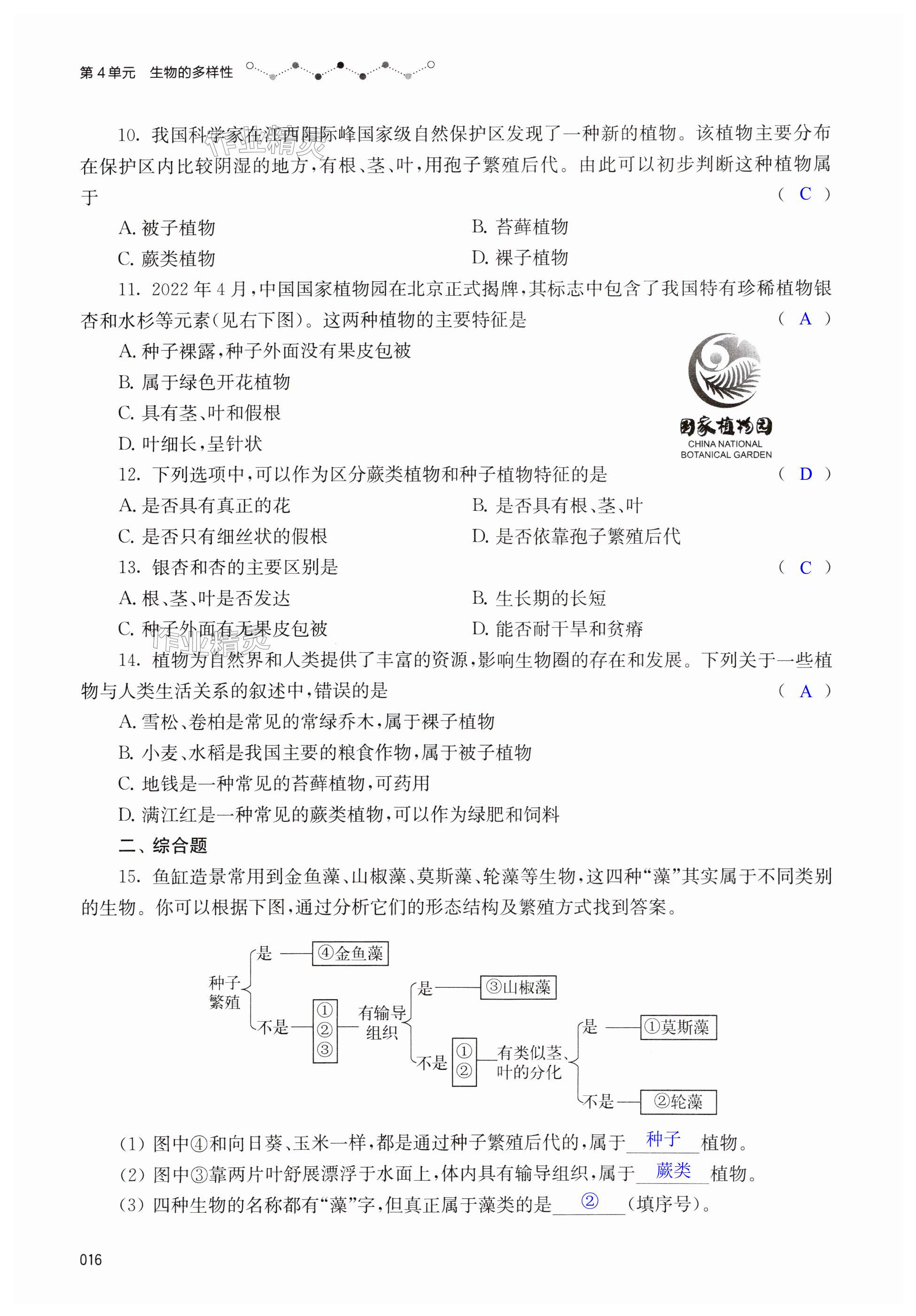 第16页