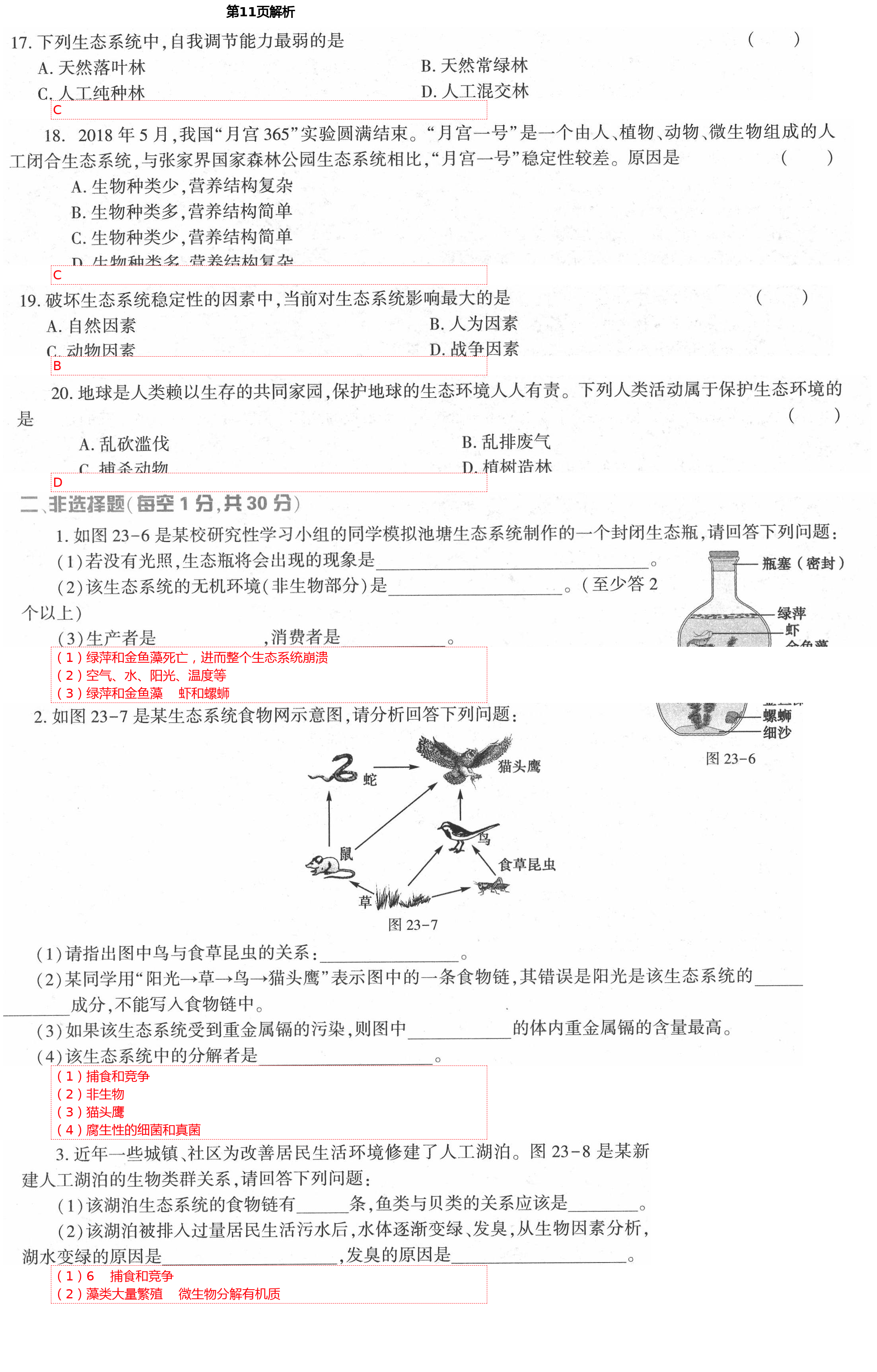 2021年基礎(chǔ)訓(xùn)練八年級生物下冊北師大版大象出版社 第11頁