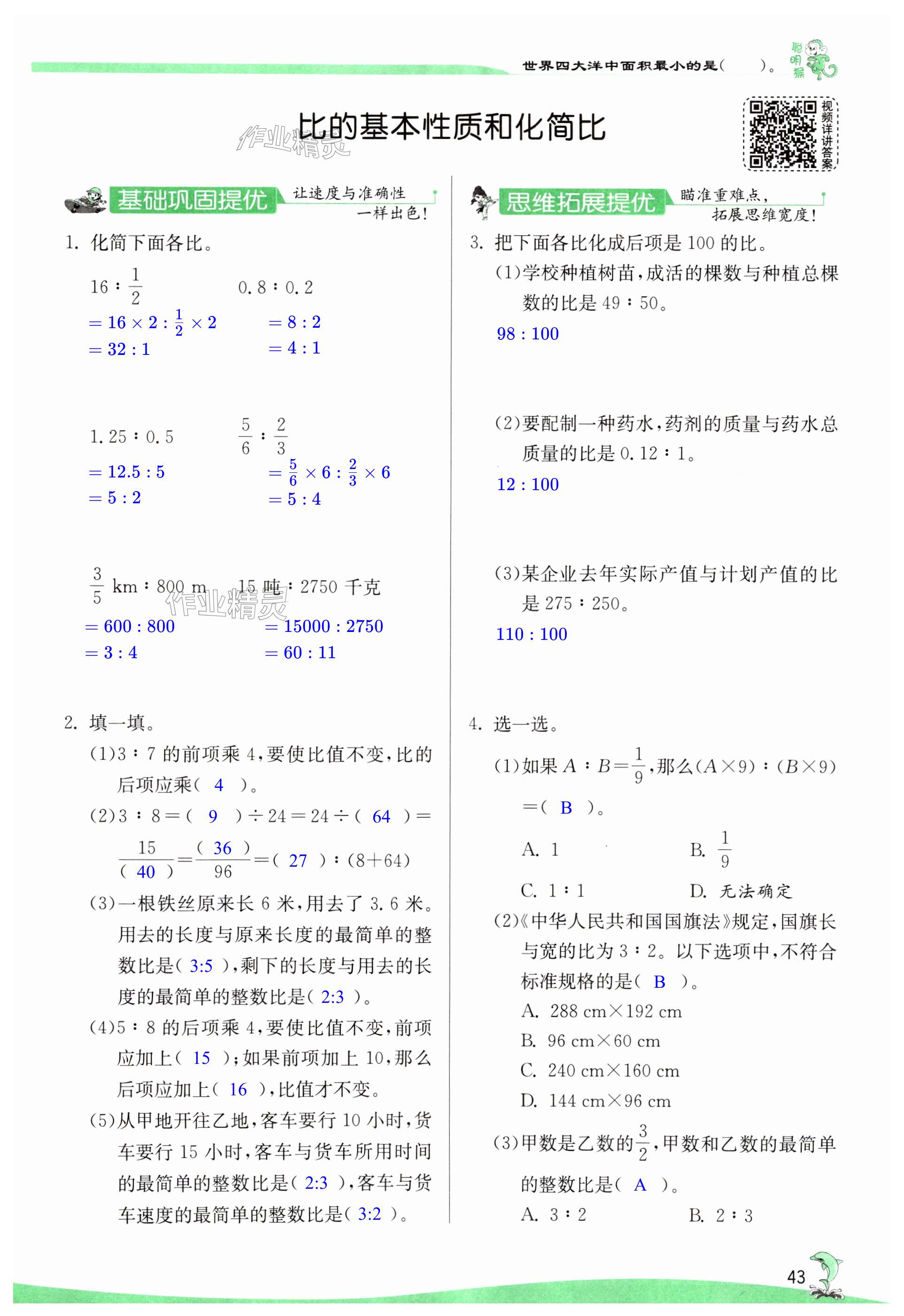 第43页