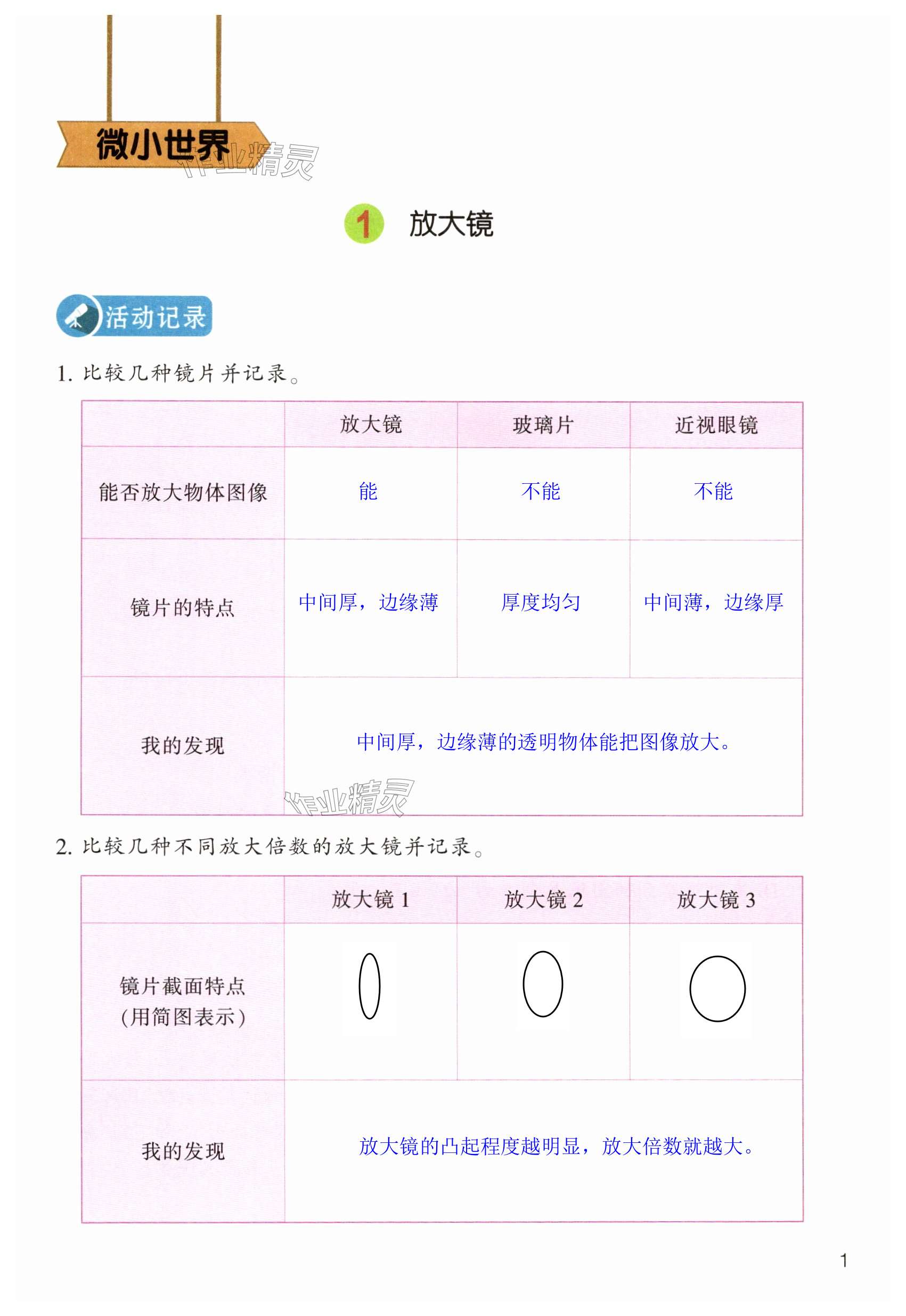 2024年作業(yè)本浙江教育出版社六年級科學(xué)上冊教科版 第1頁