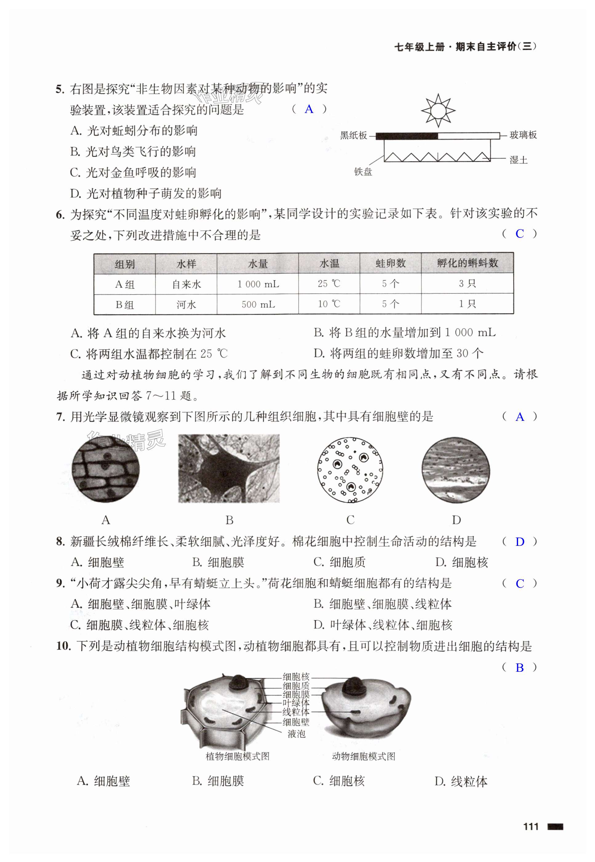 第111页