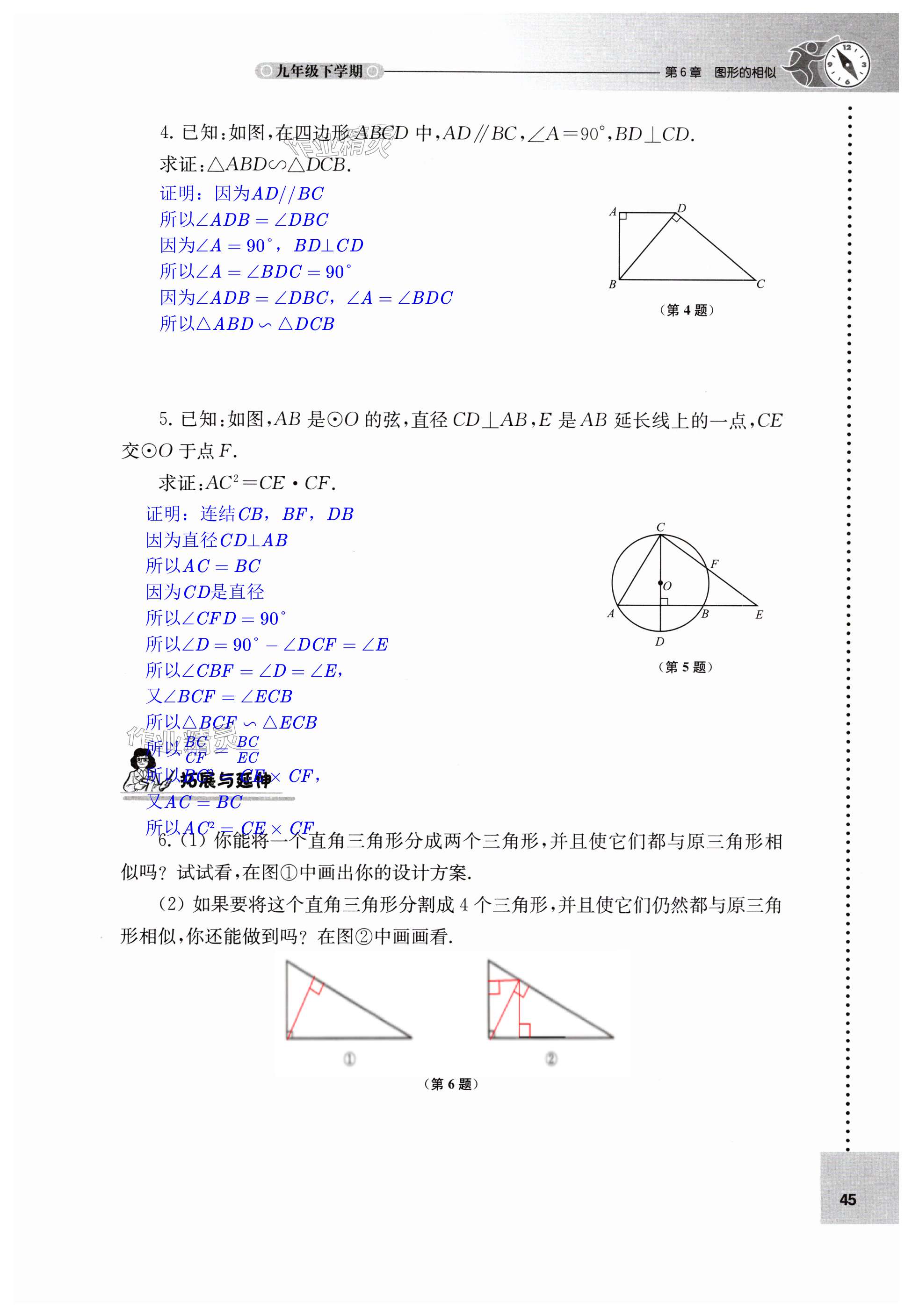 第45页