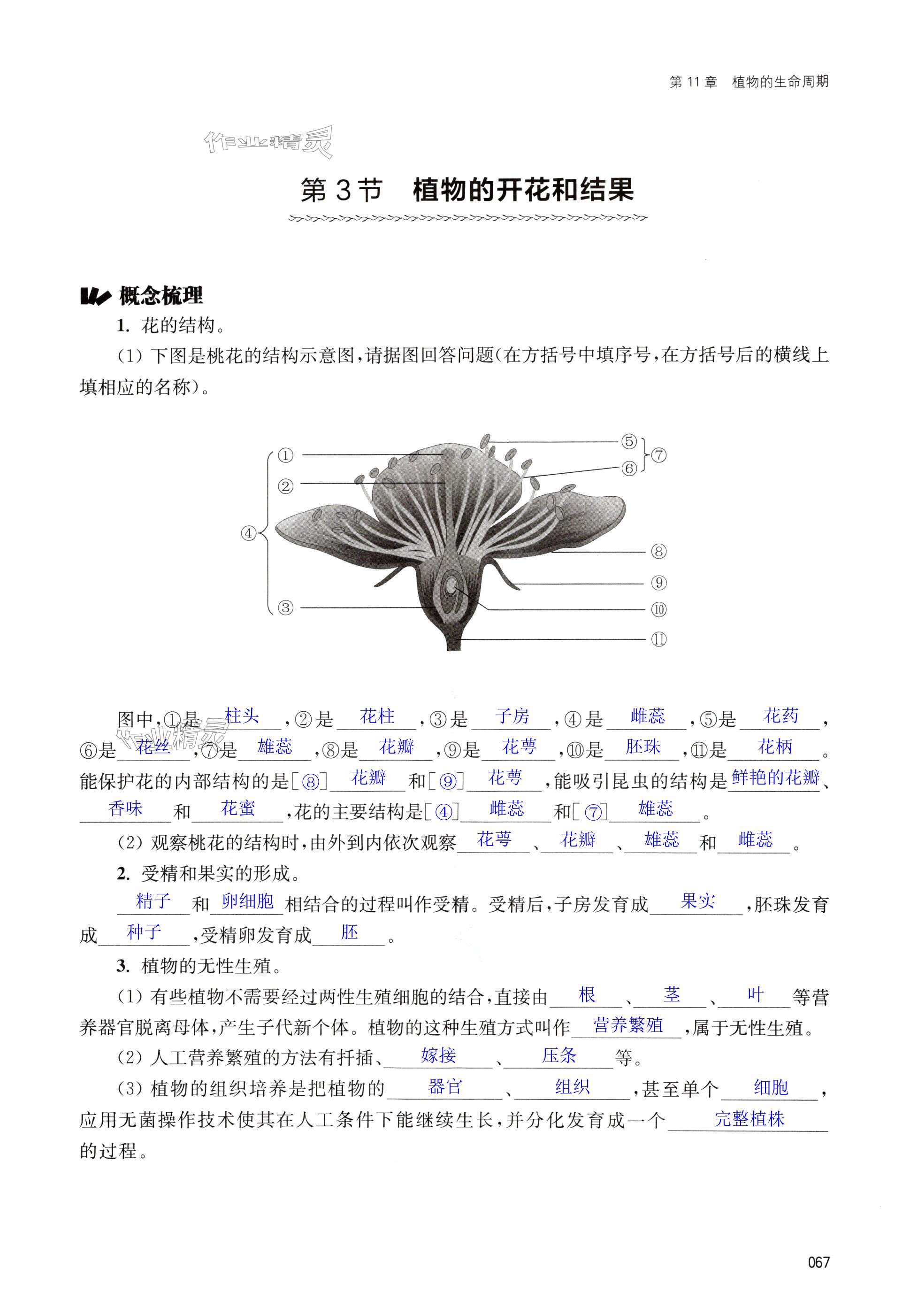 第67页