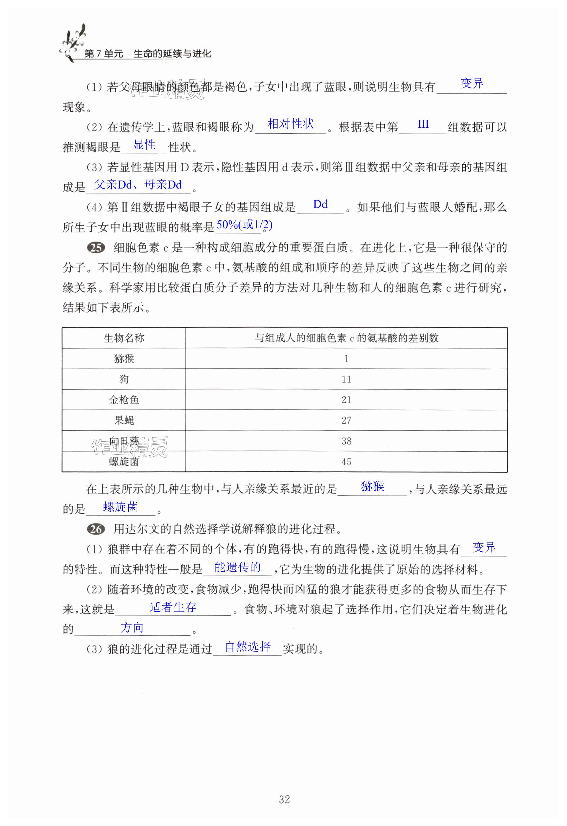 第32页