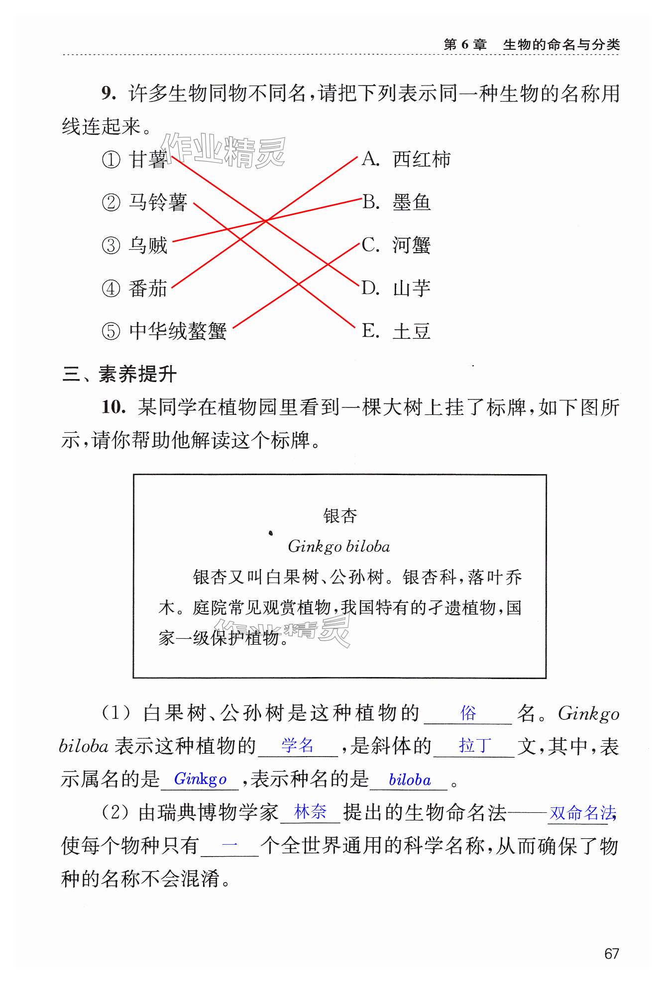 第67页