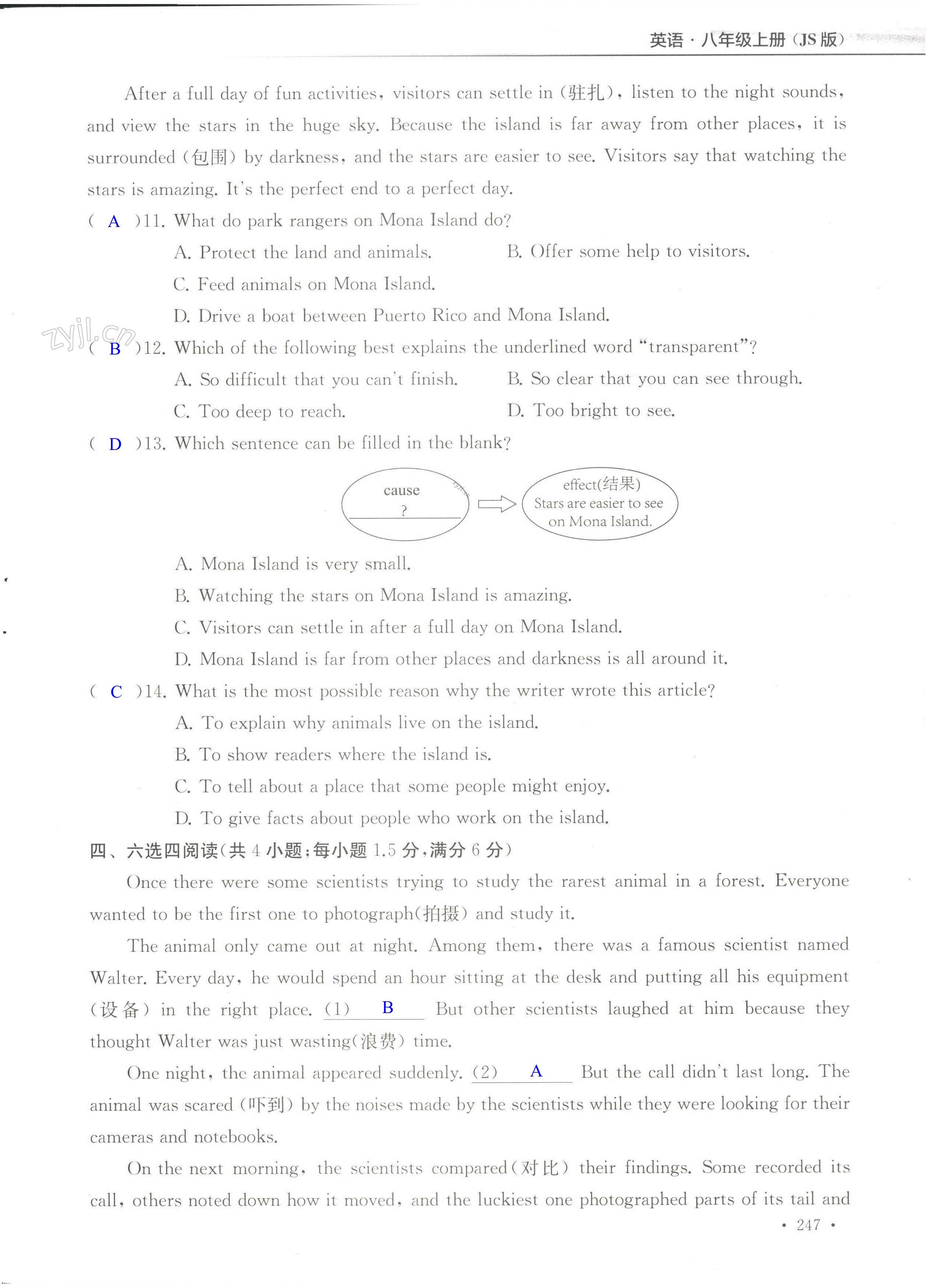 期末测试B卷 - 第247页