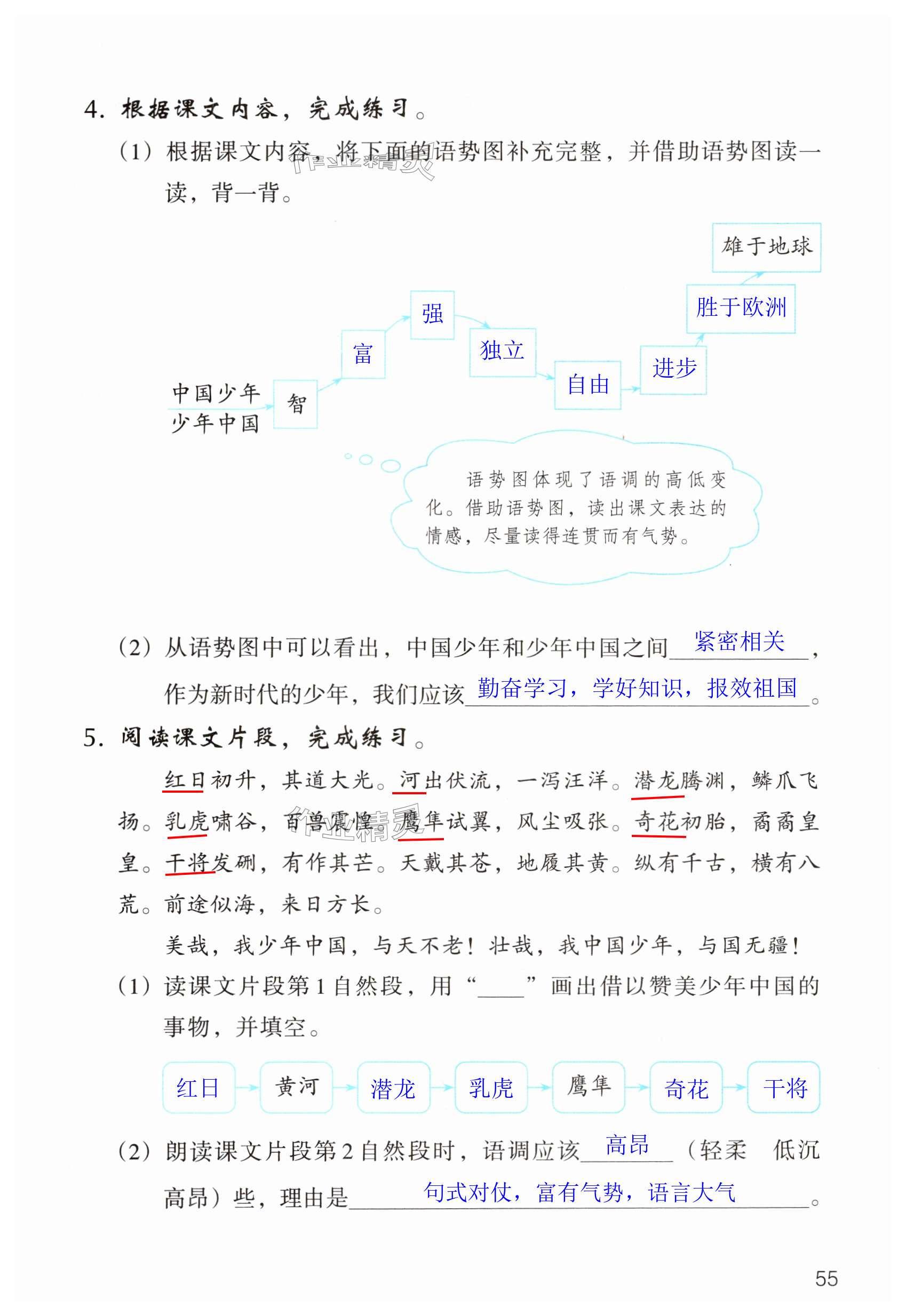 第55页