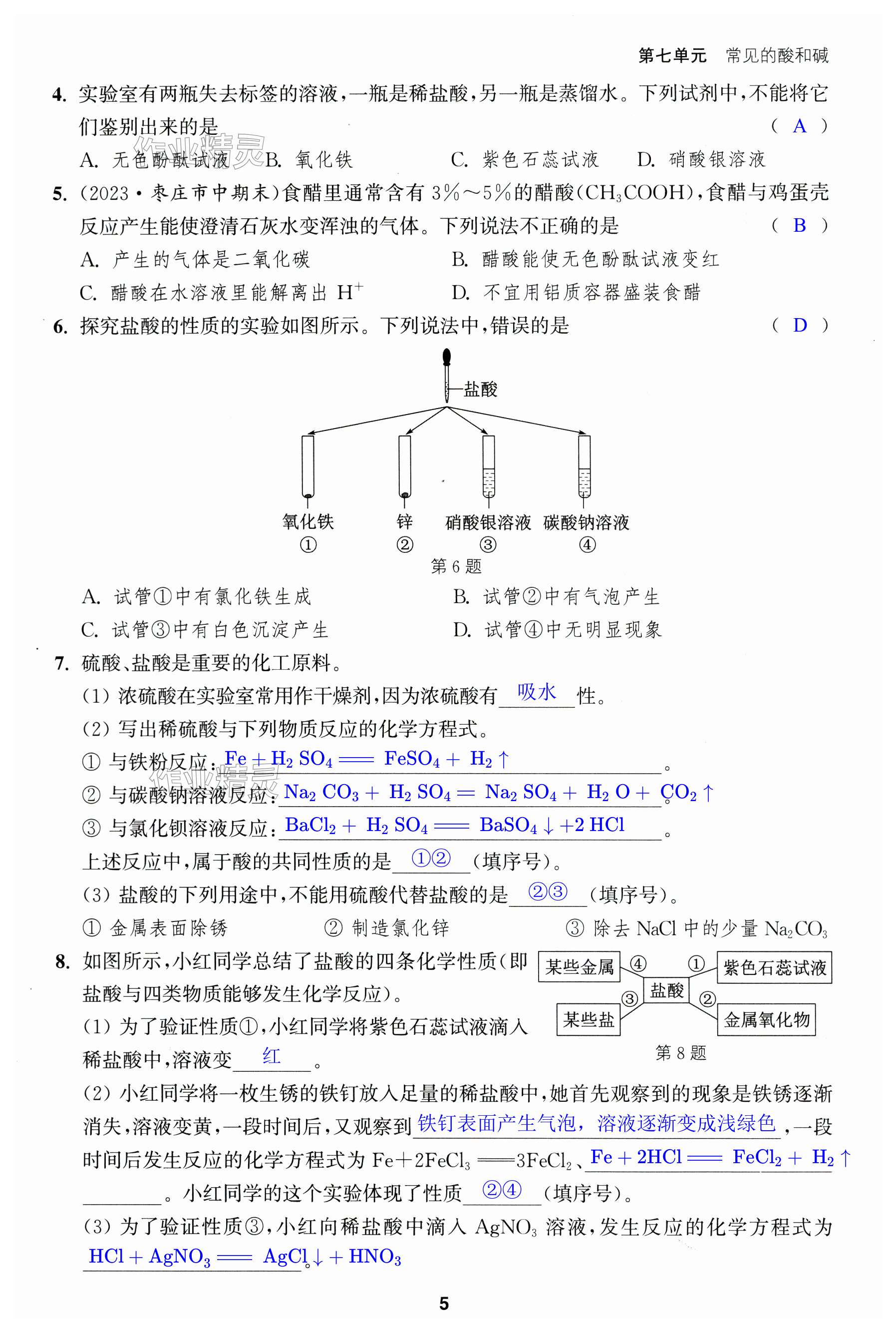 第5页