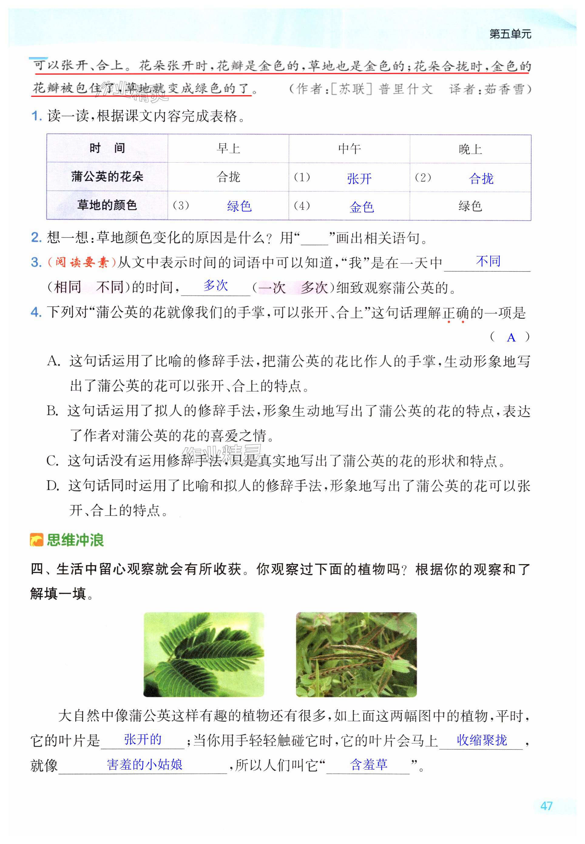 第47页