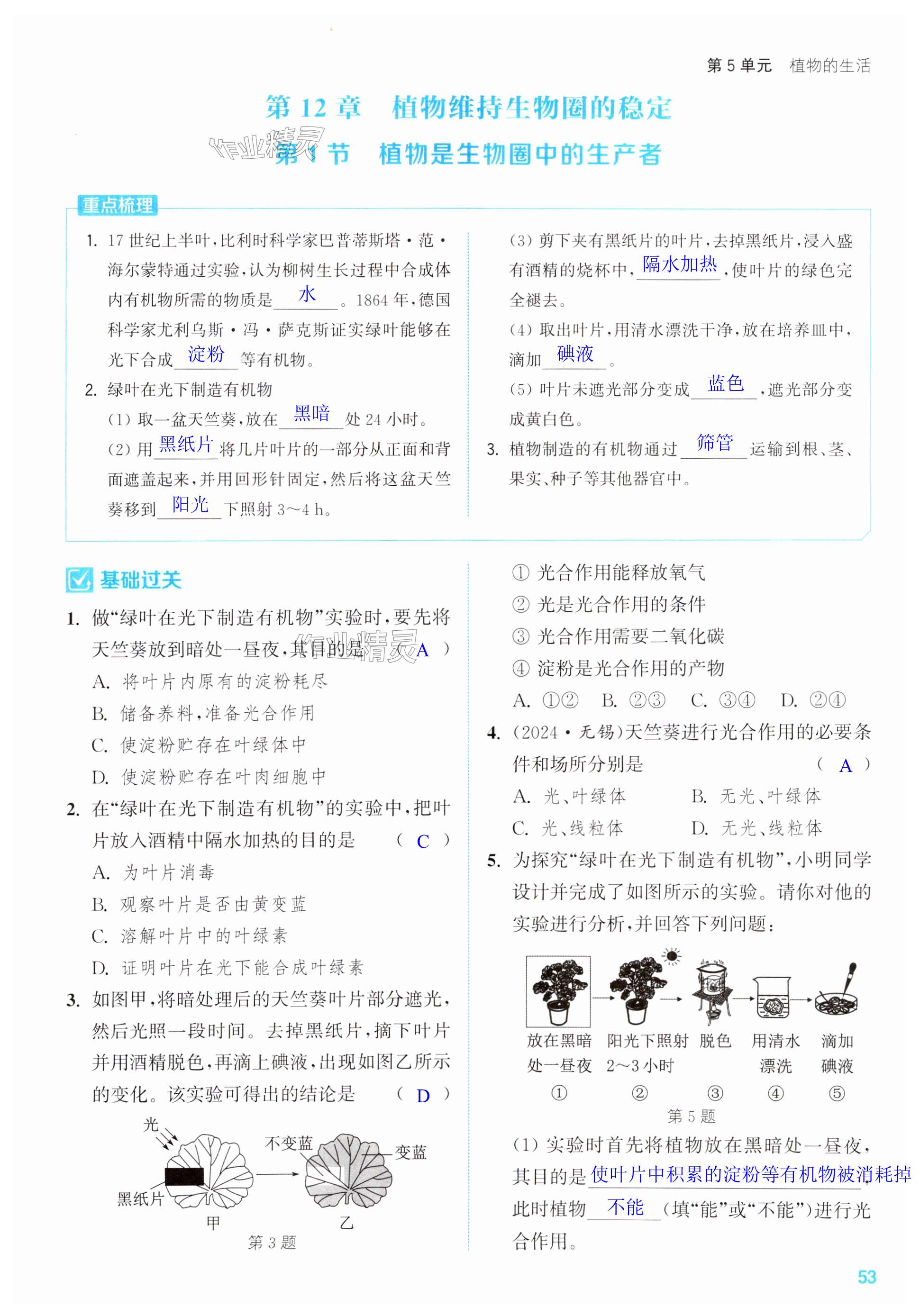 第53页