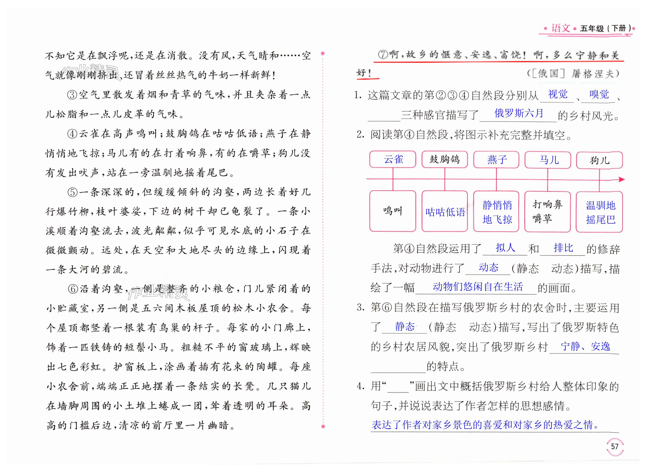 第57页