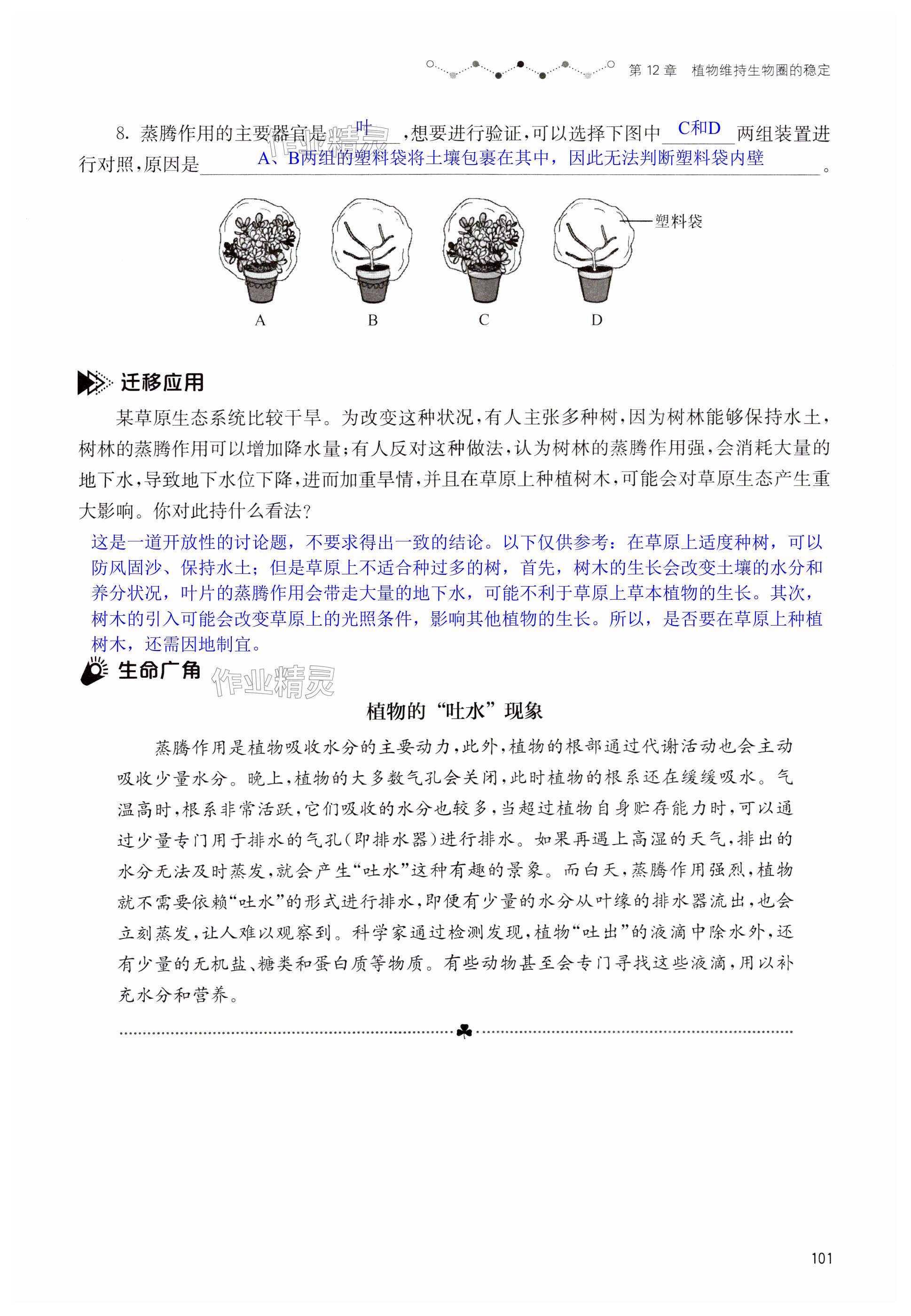 第101页