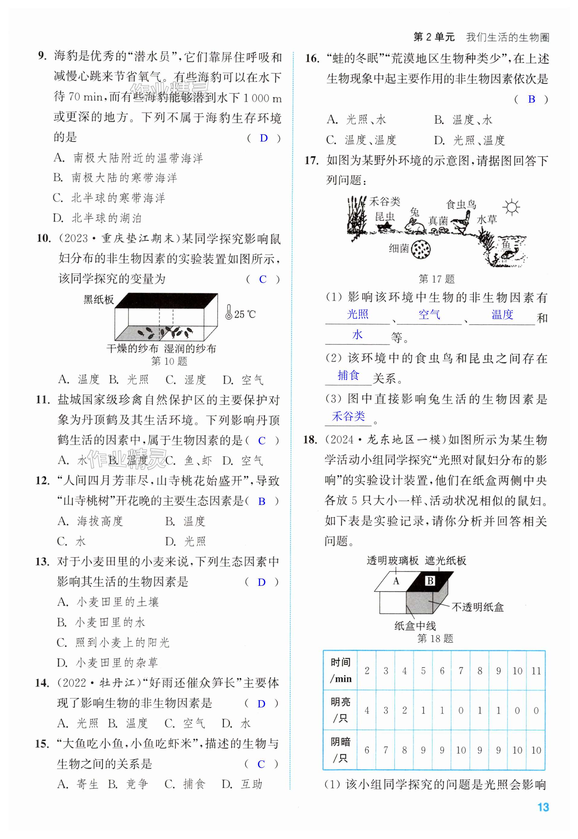 第13页