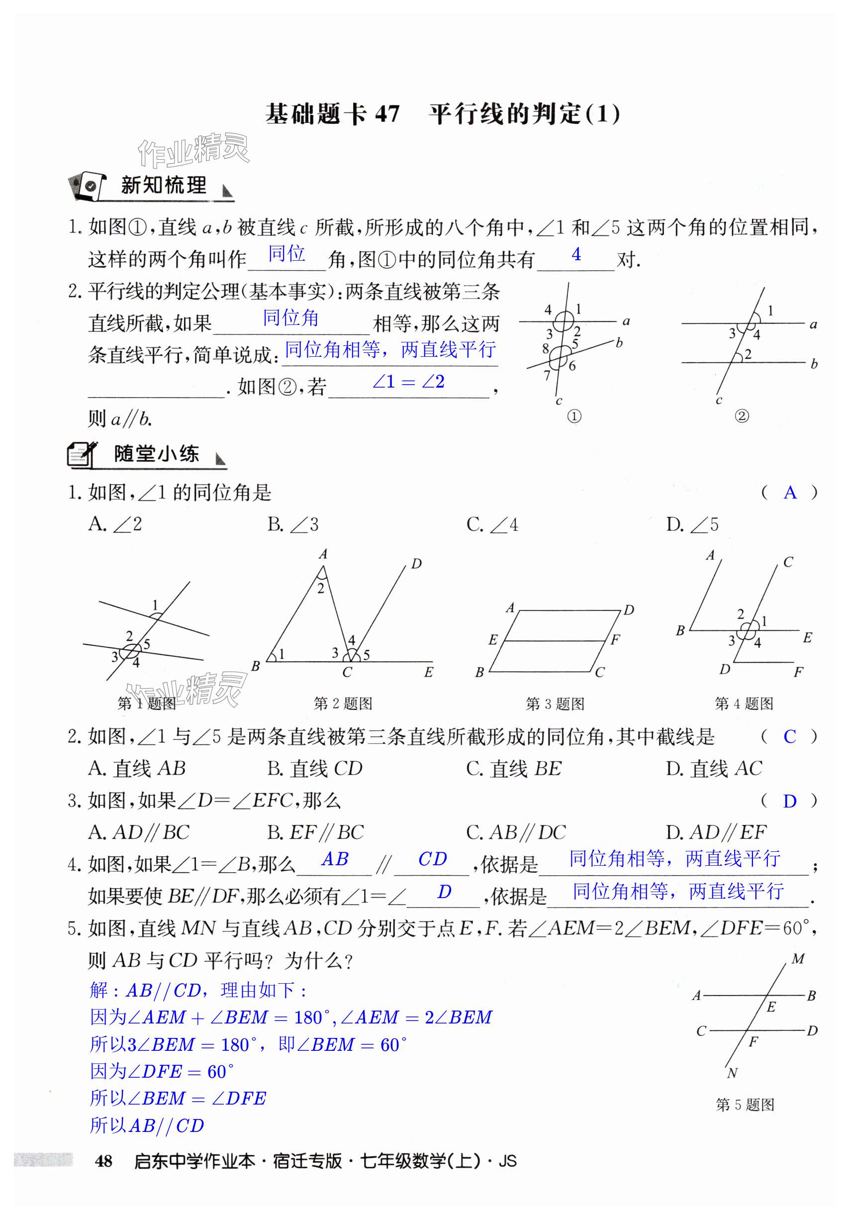 第48页