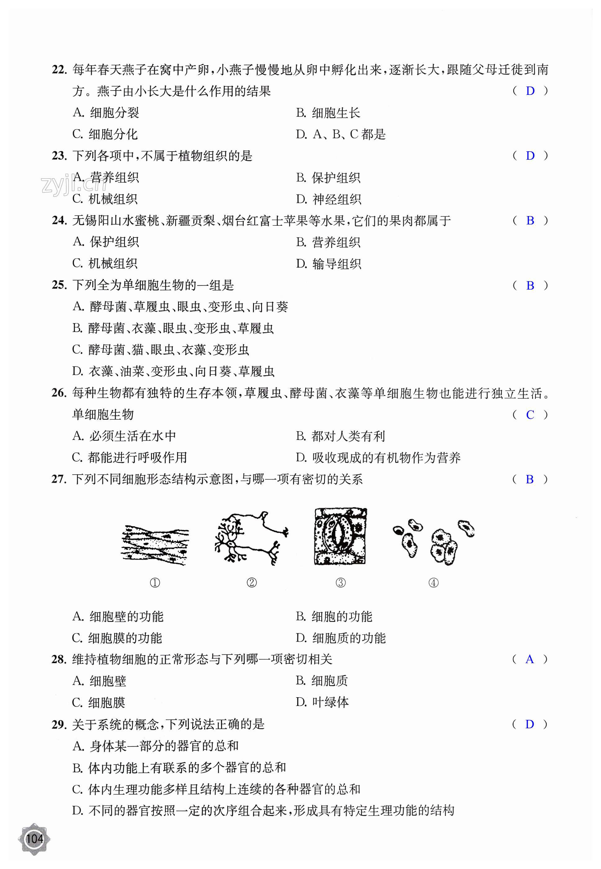 第104页