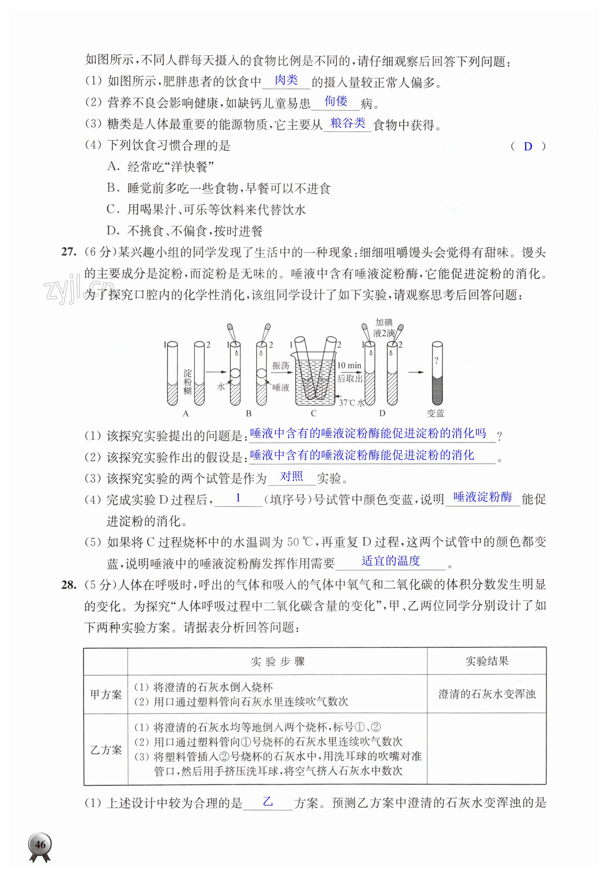 第46页