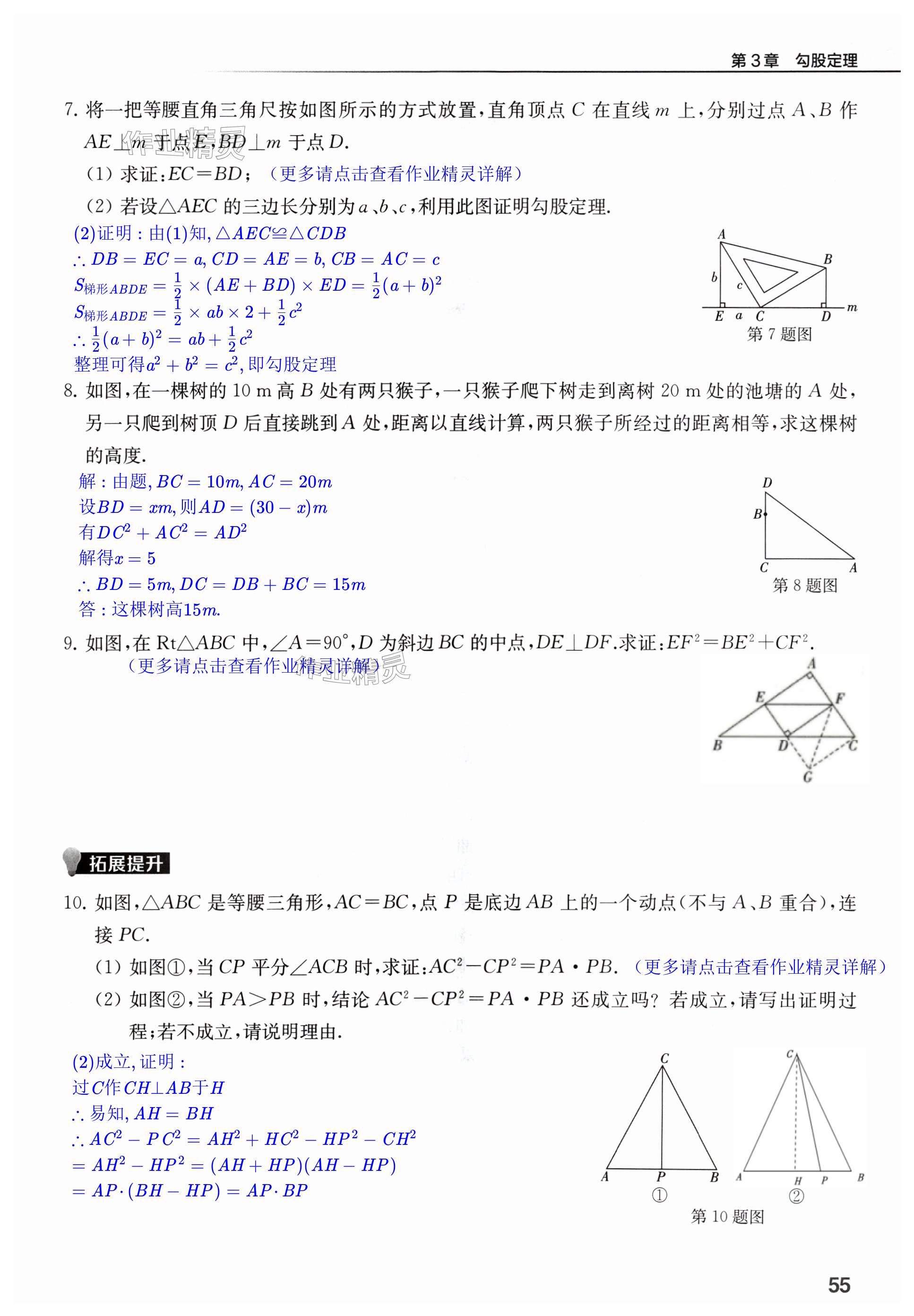 第55页