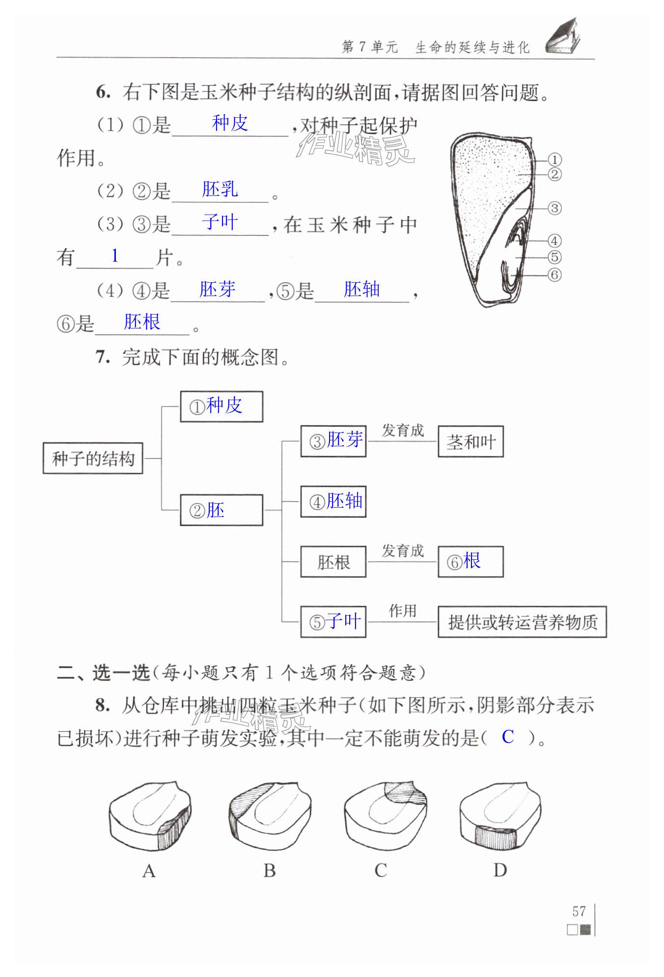 第57页