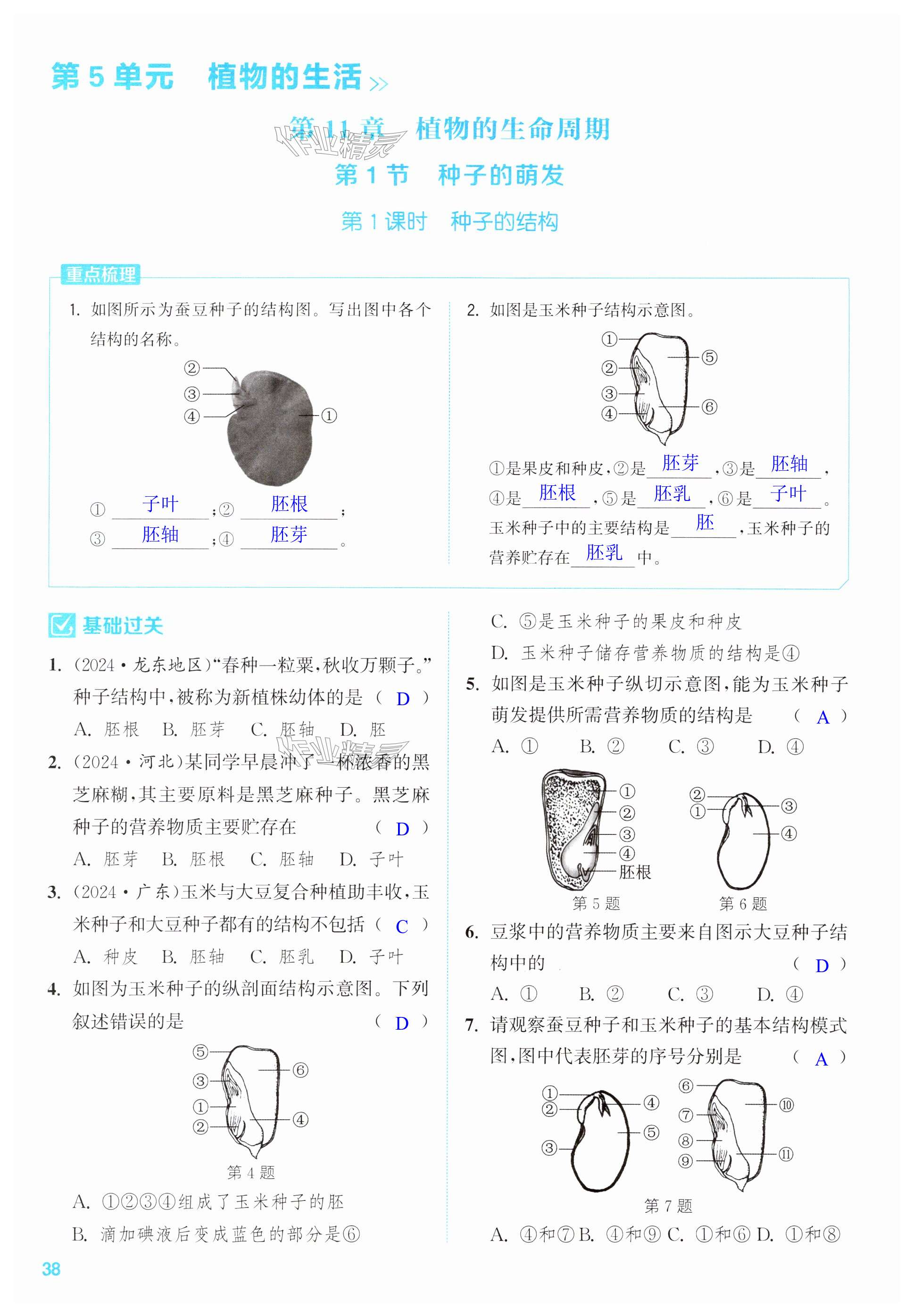 第38页