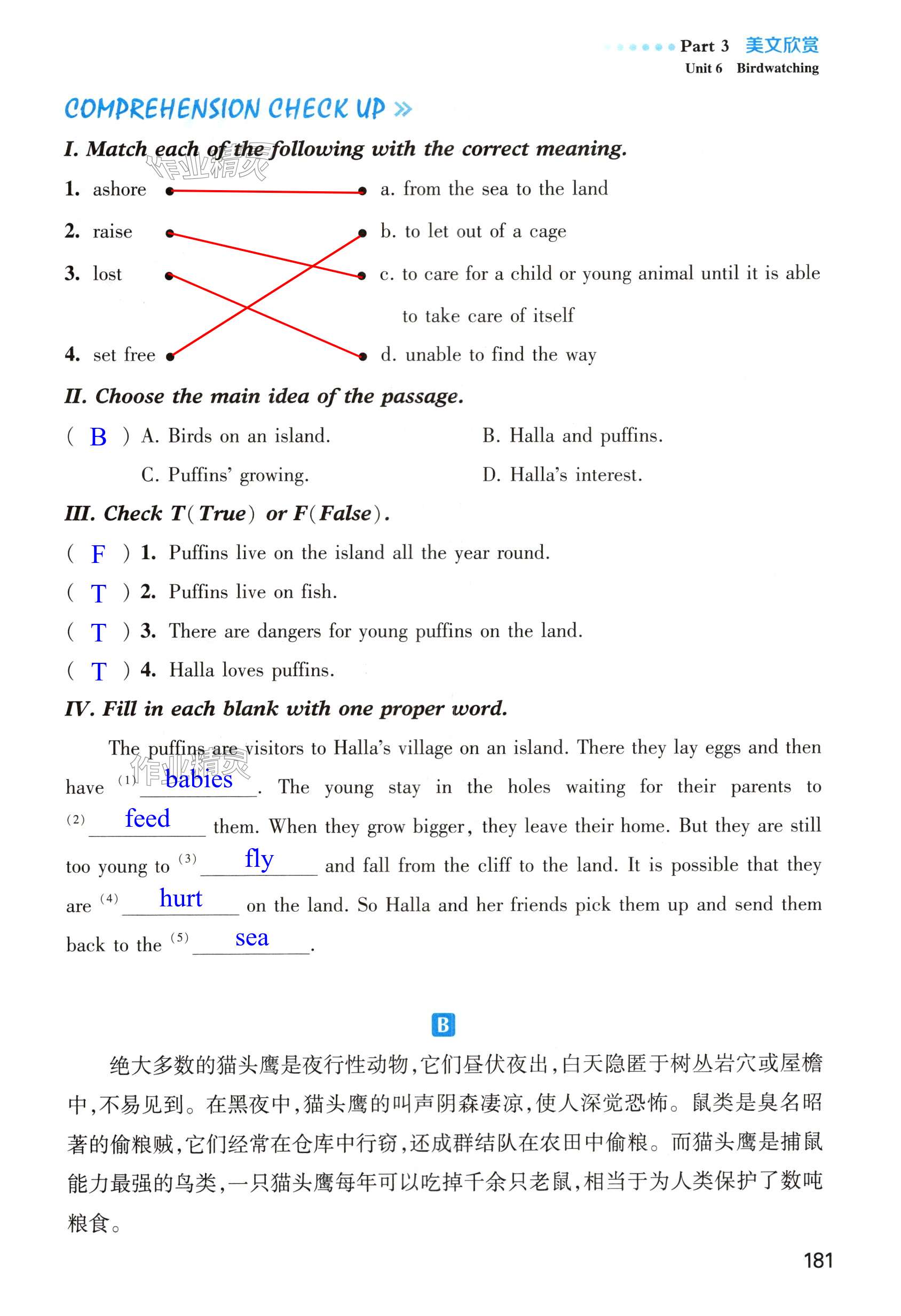 第181页