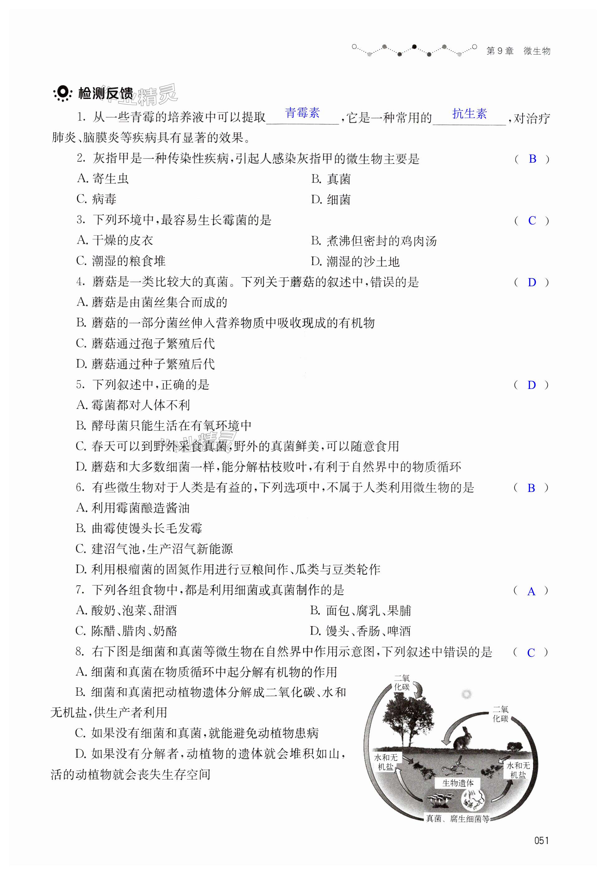 第51页