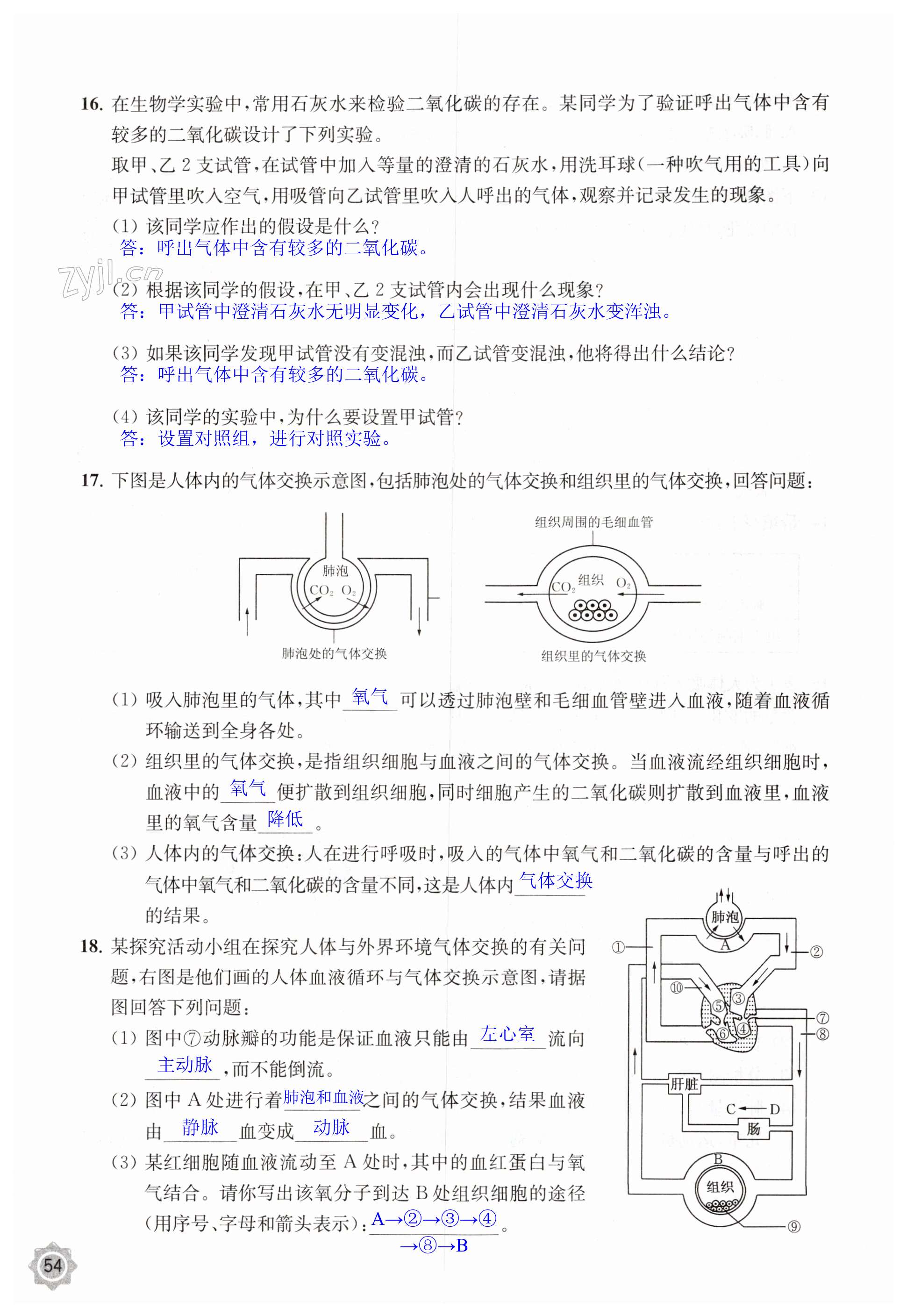 第54页