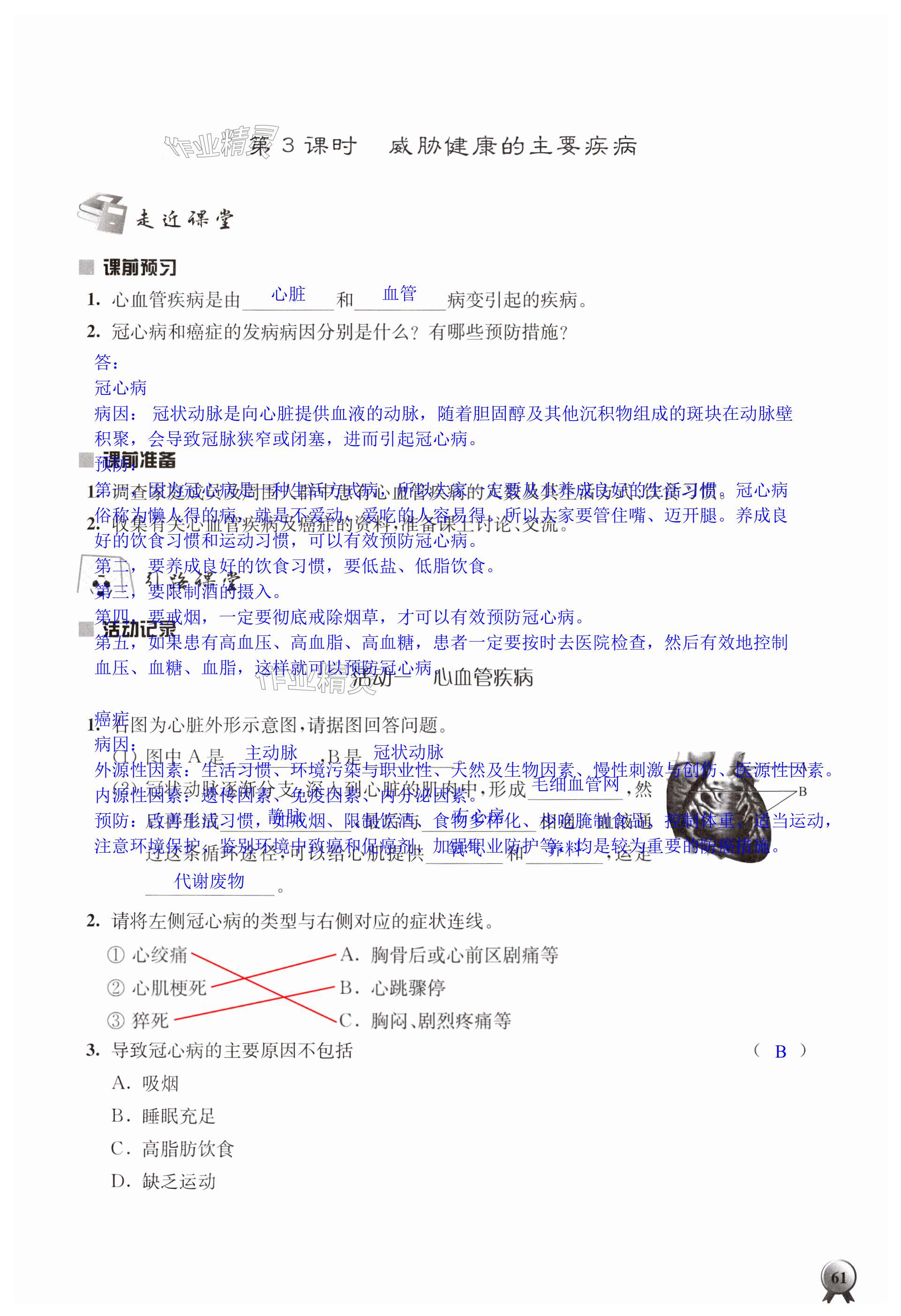 第61页