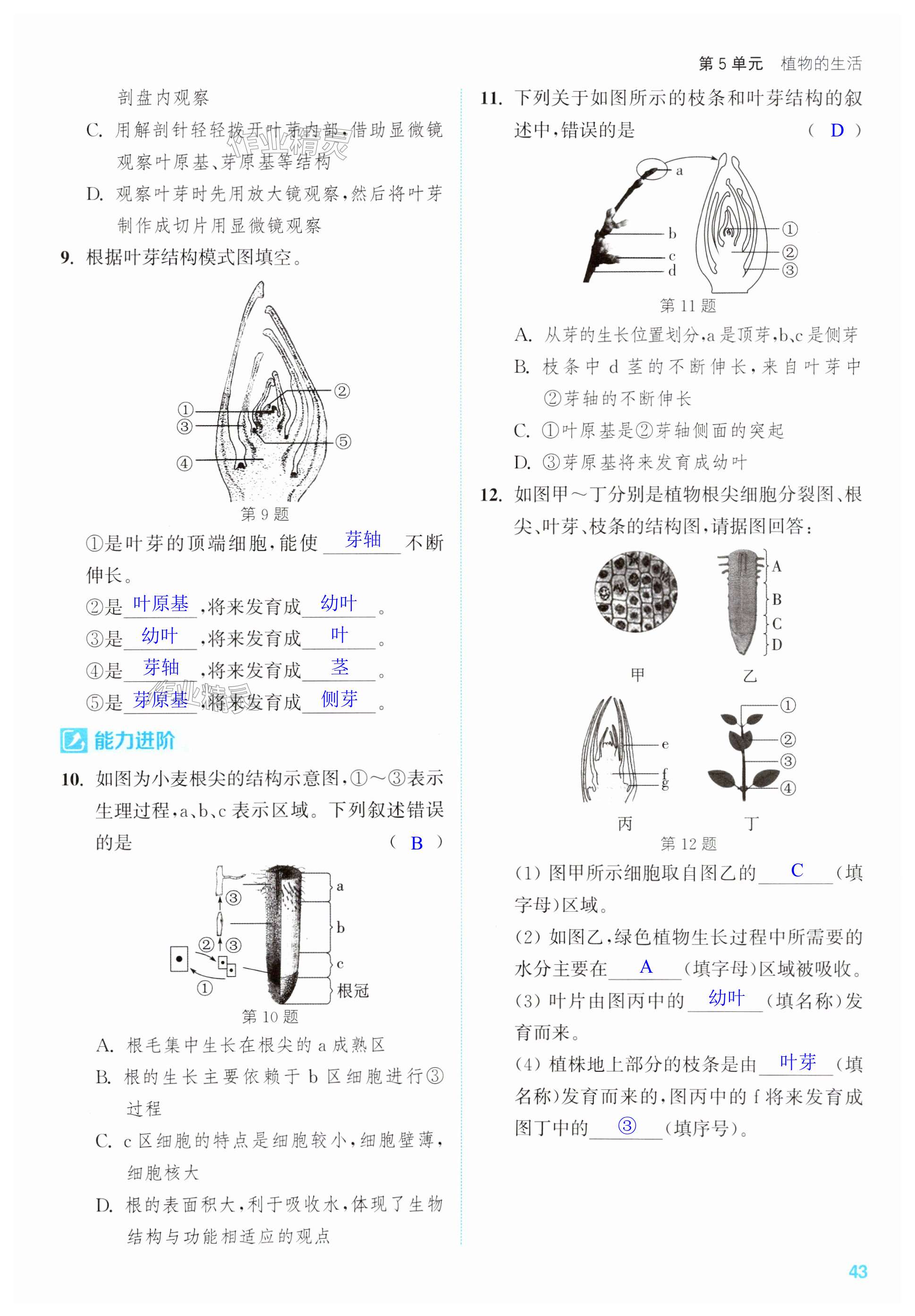 第43页