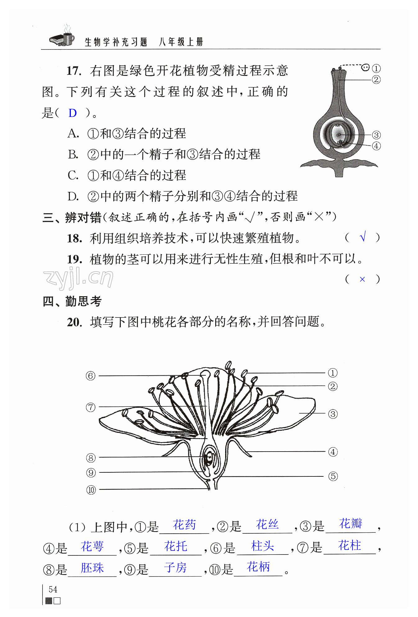 第54页