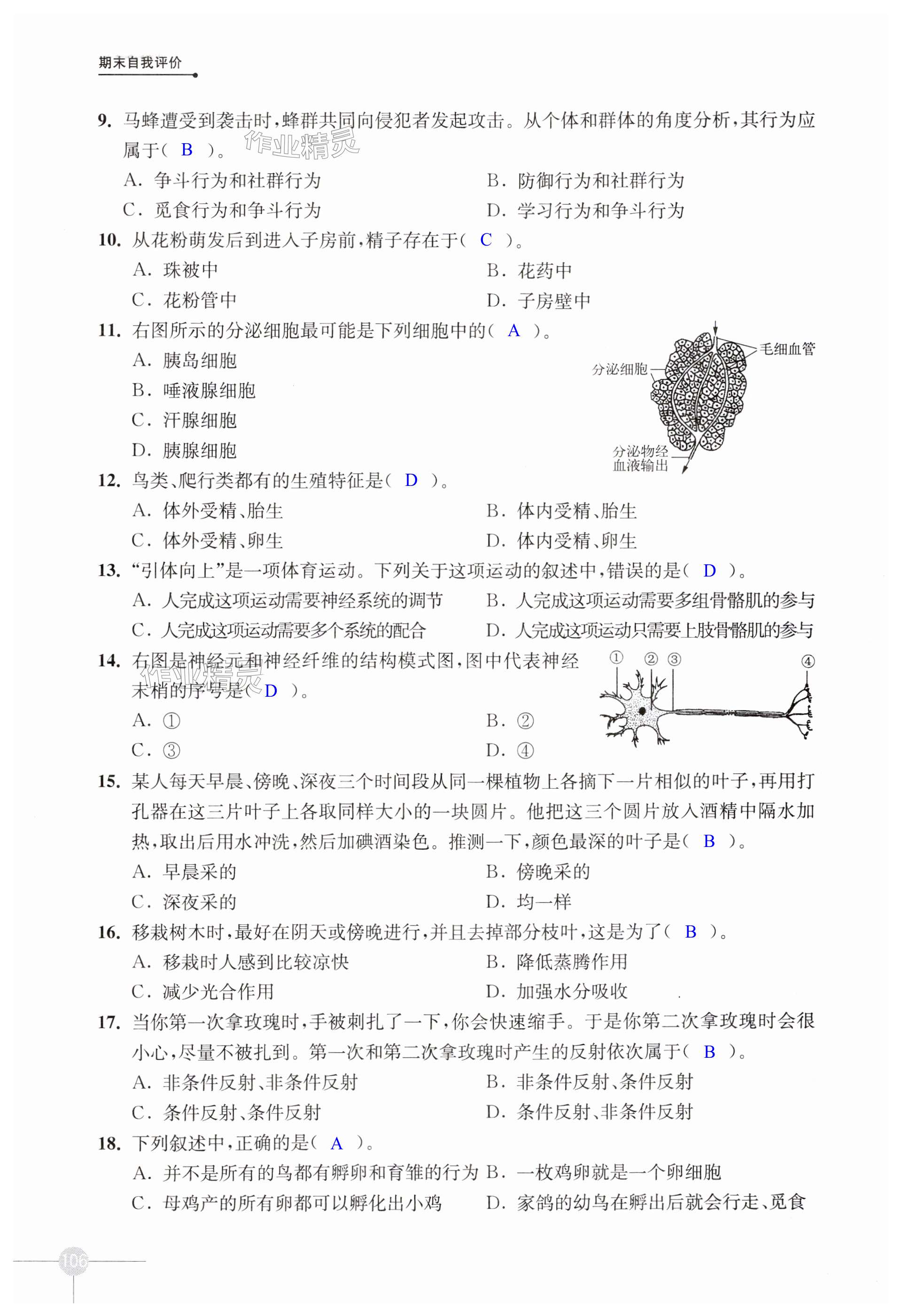 第106页