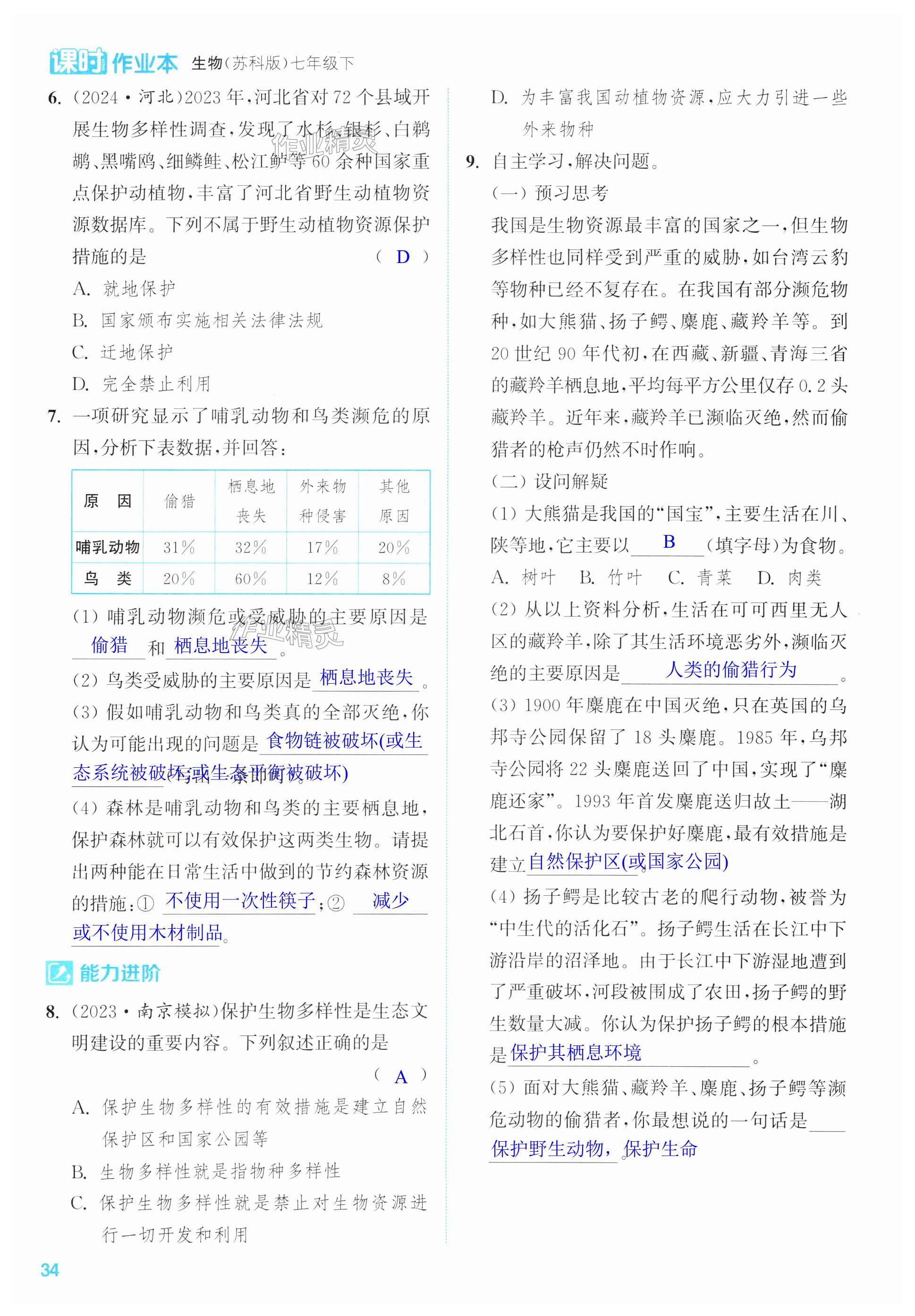 第34页