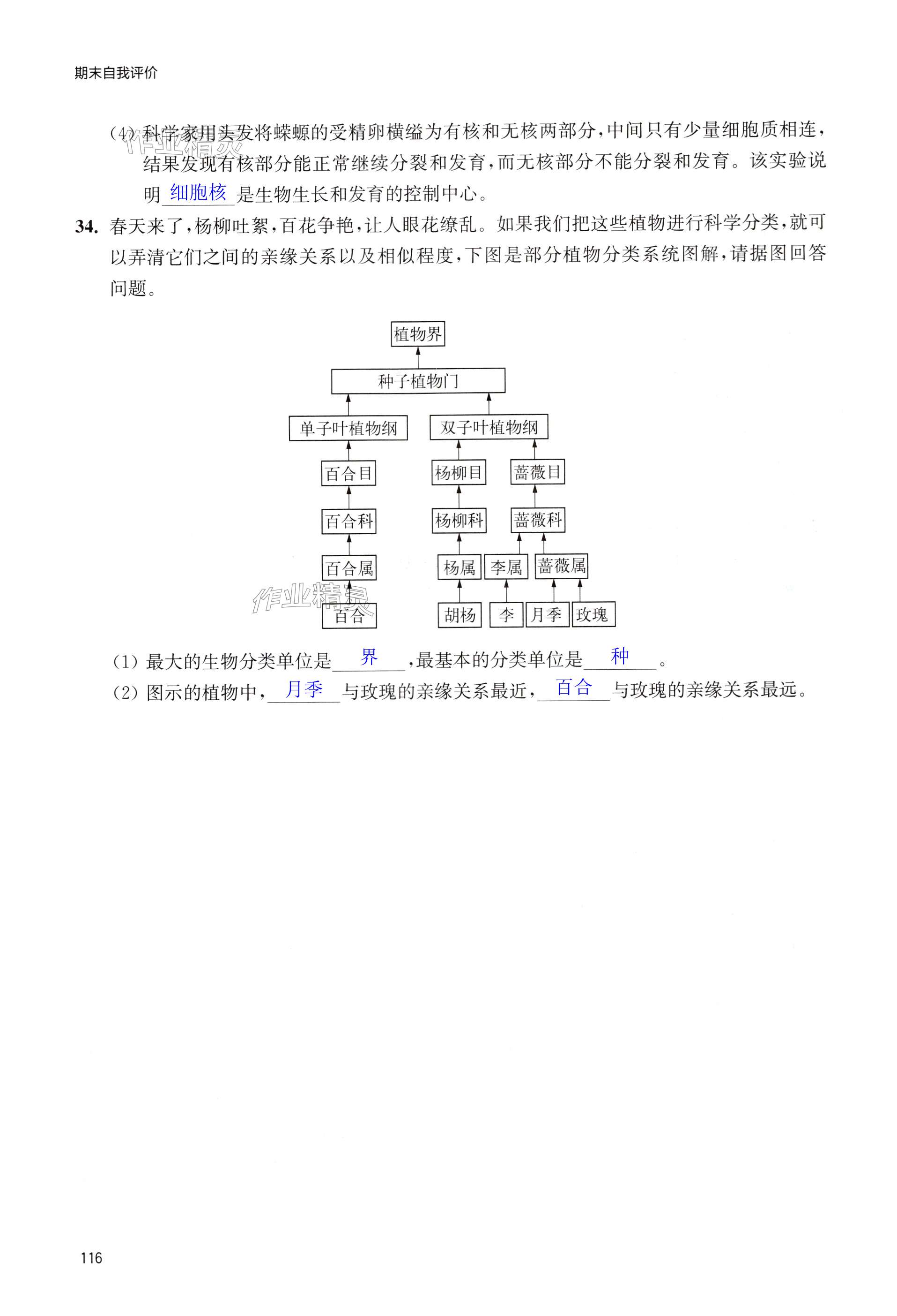 第116页