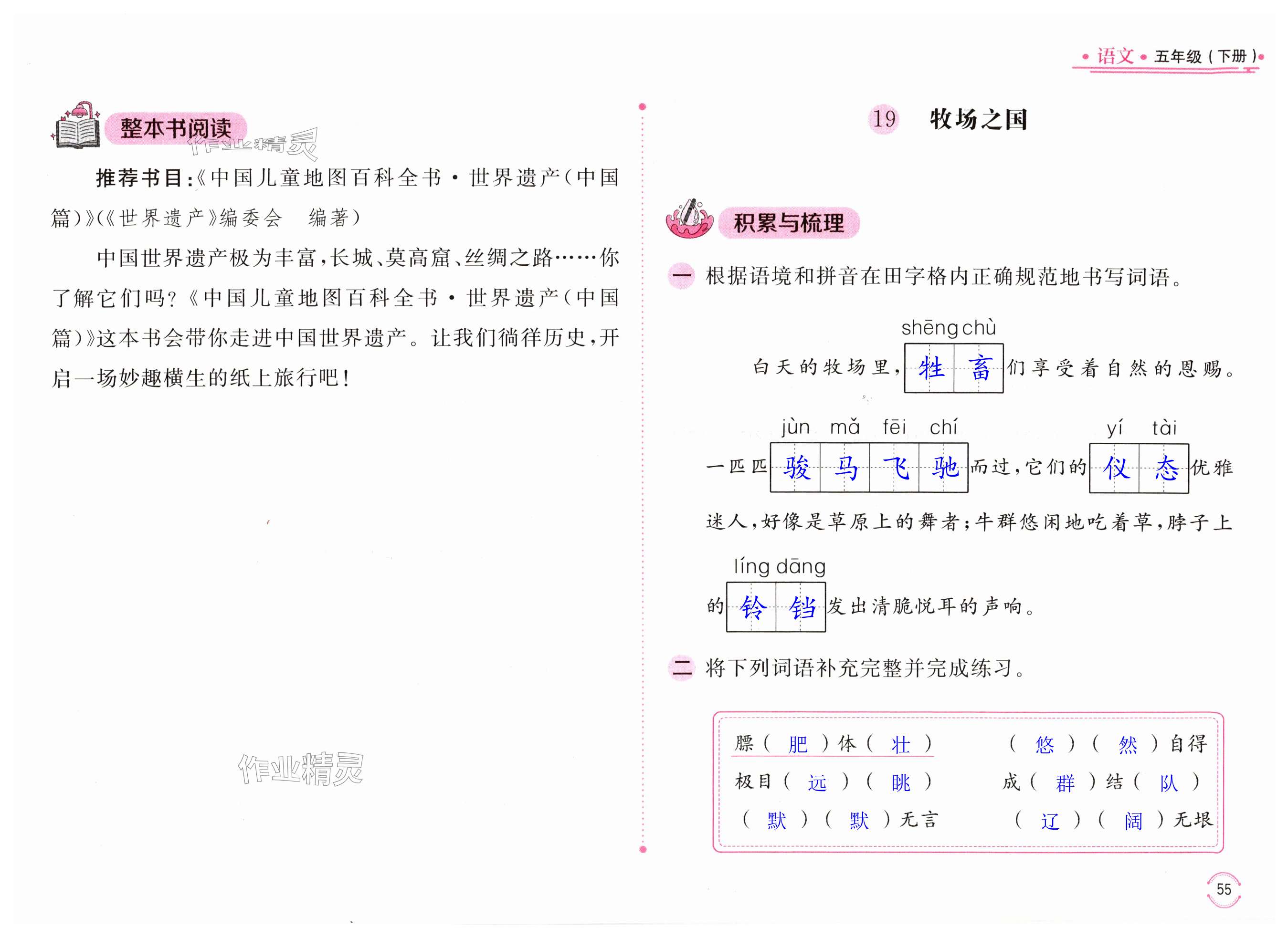 第55页