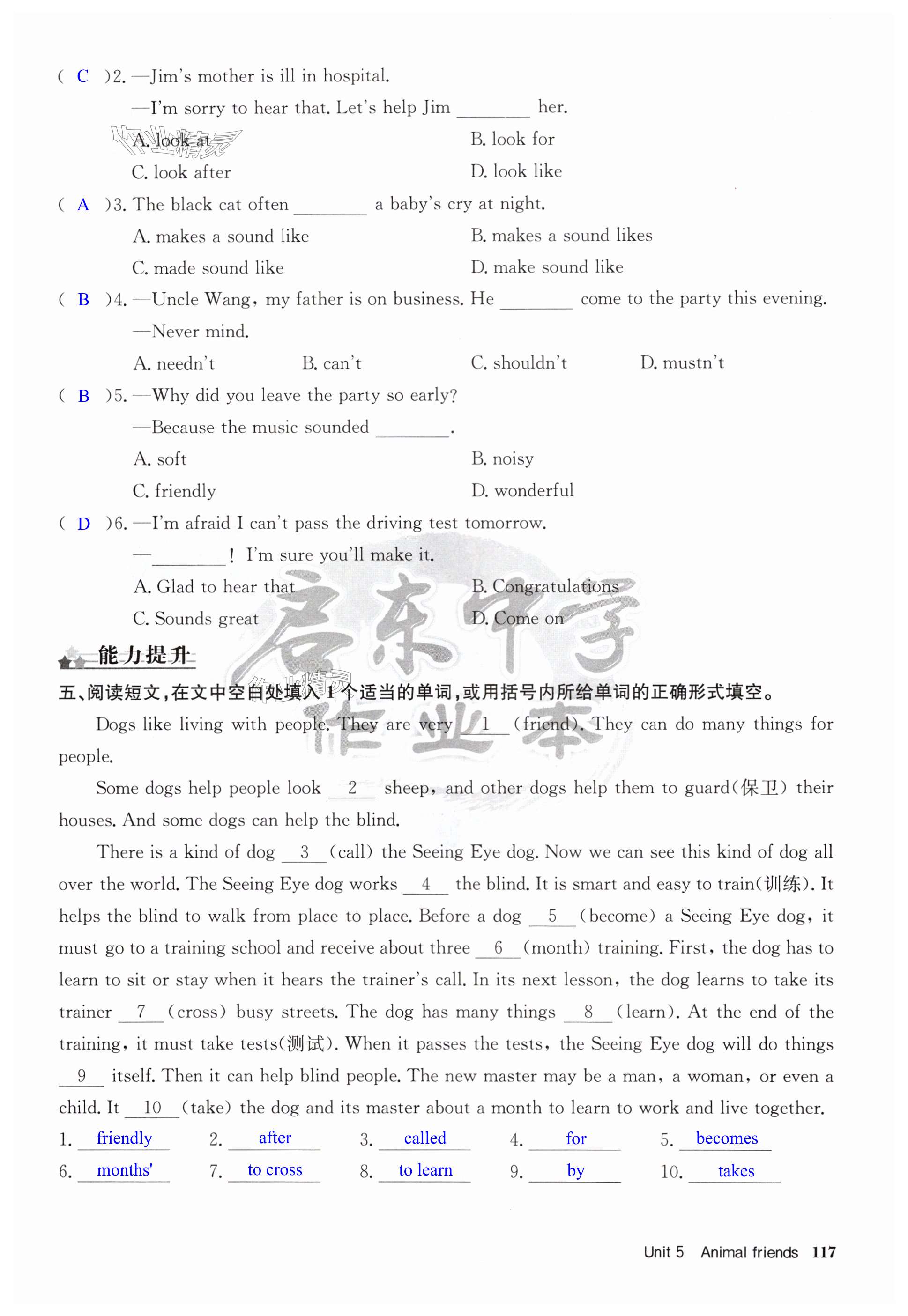第117页