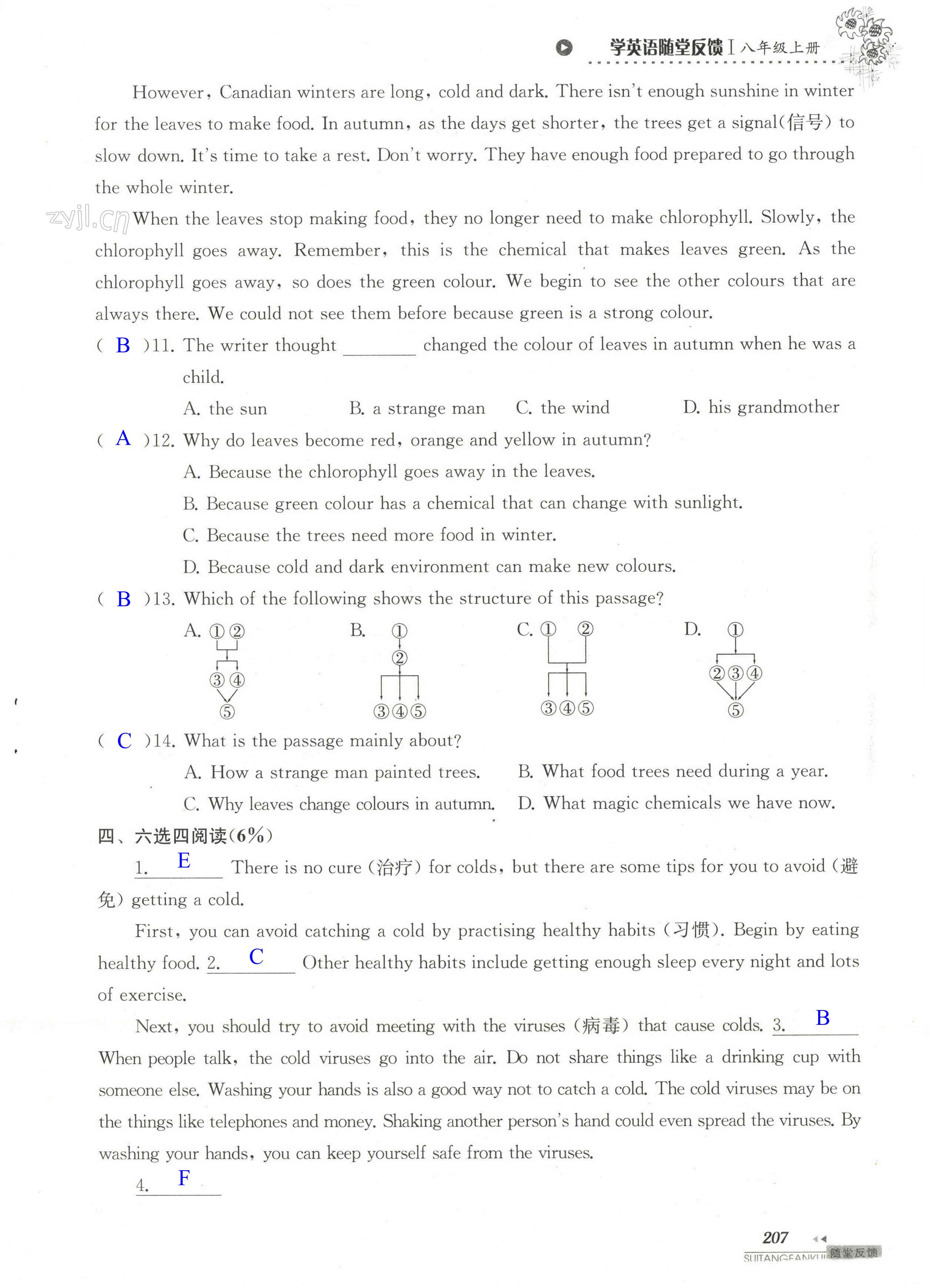 单元综合测试卷 Test for Unit 7 of 8A - 第207页
