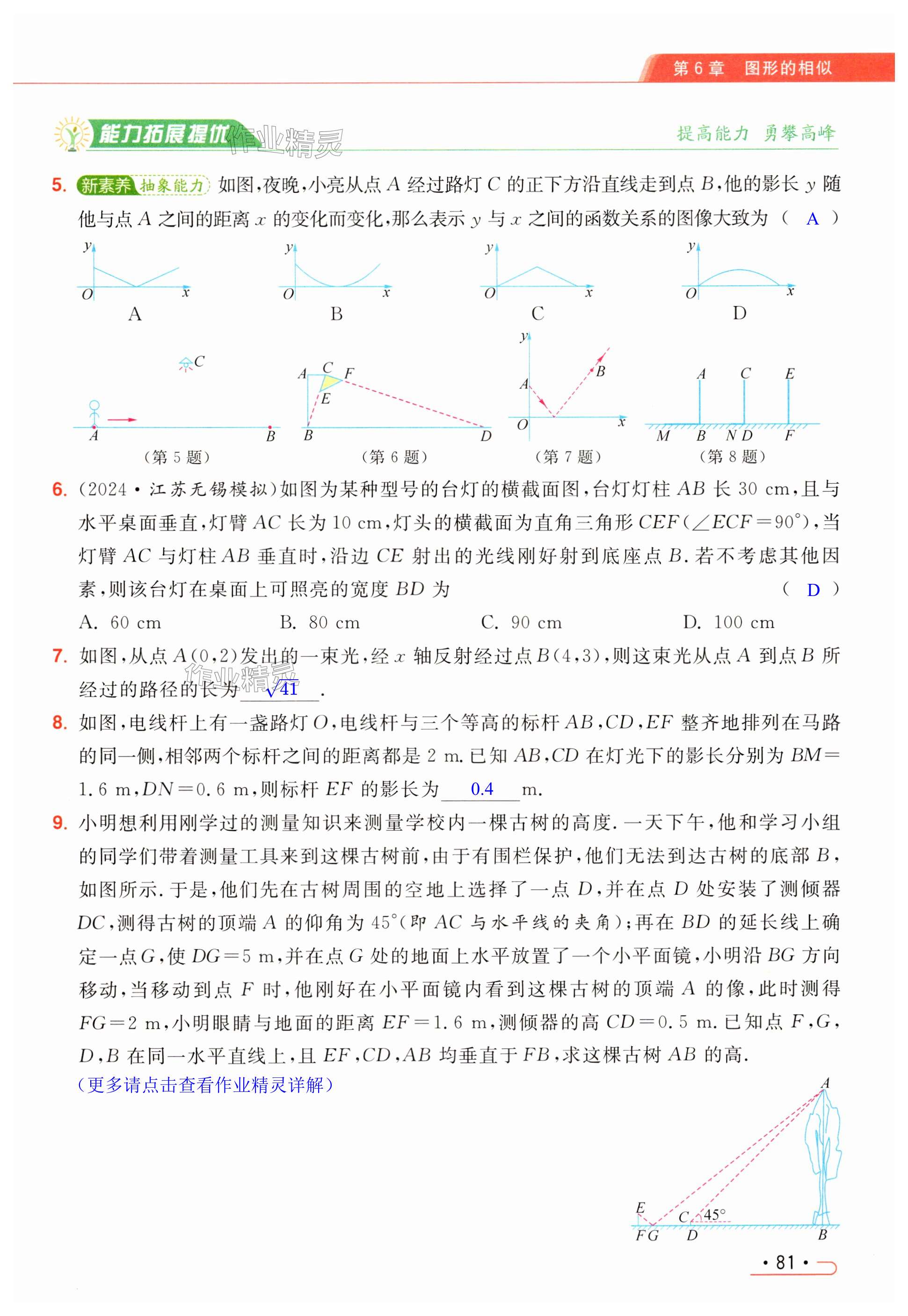 第81页