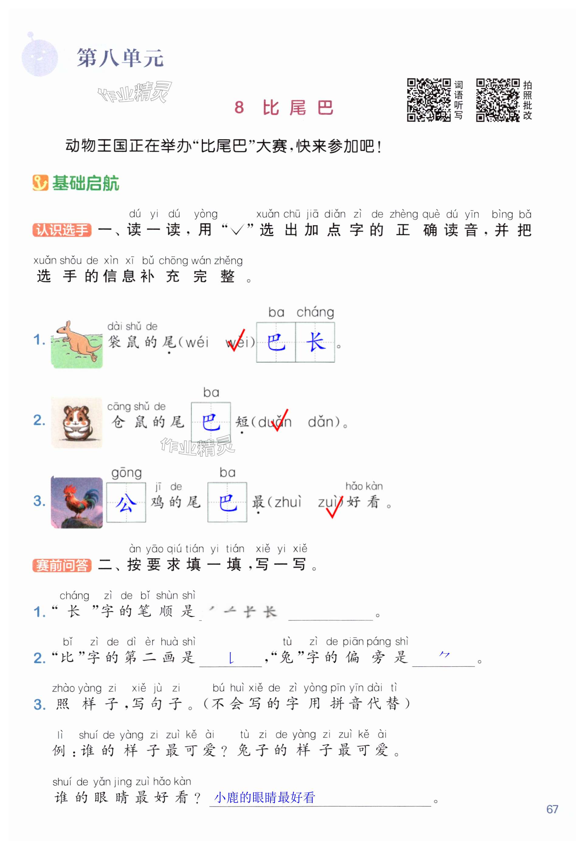 第67页