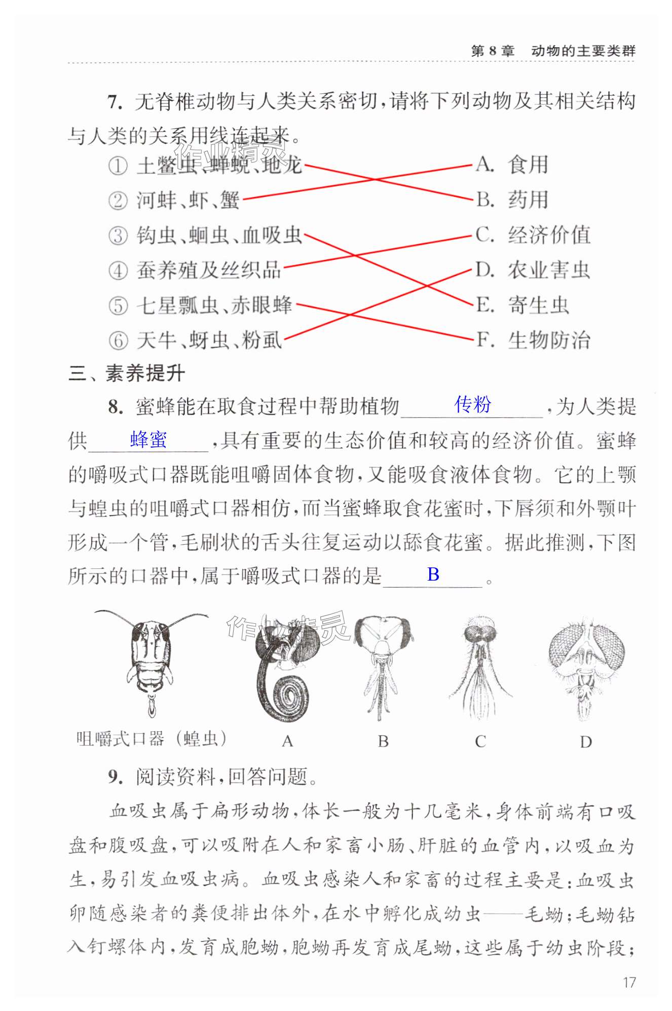 第17页