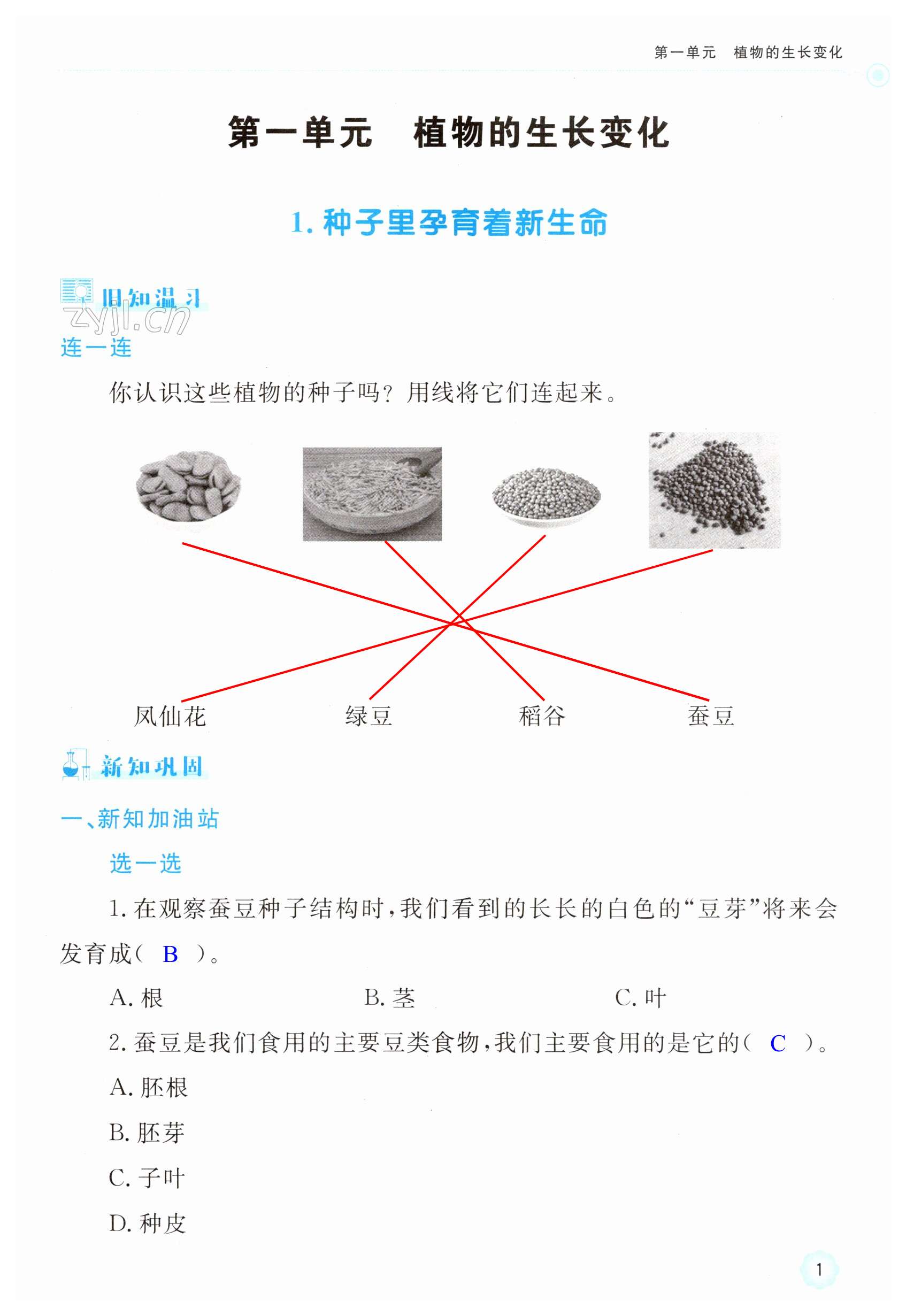 2023年新课标学习方法指导丛书四年级科学下册教科版 第1页