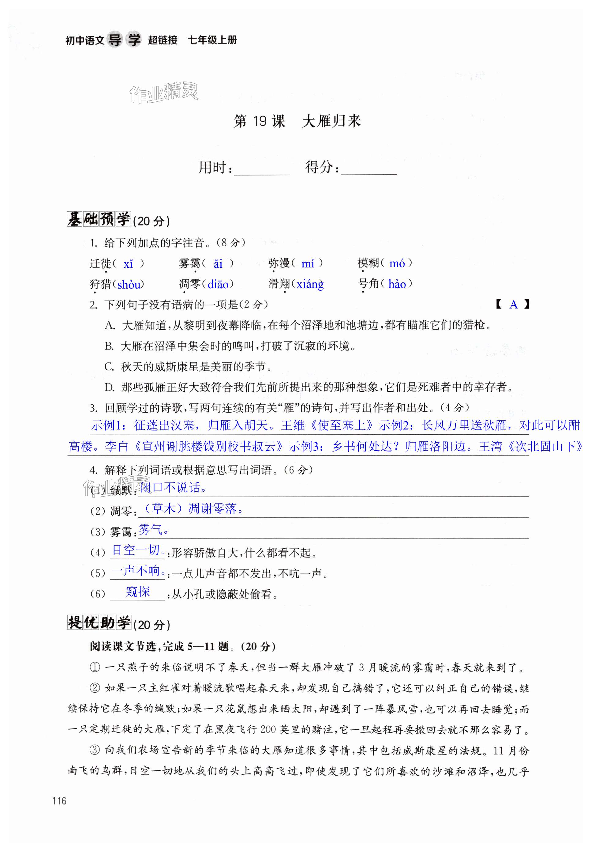 第116页