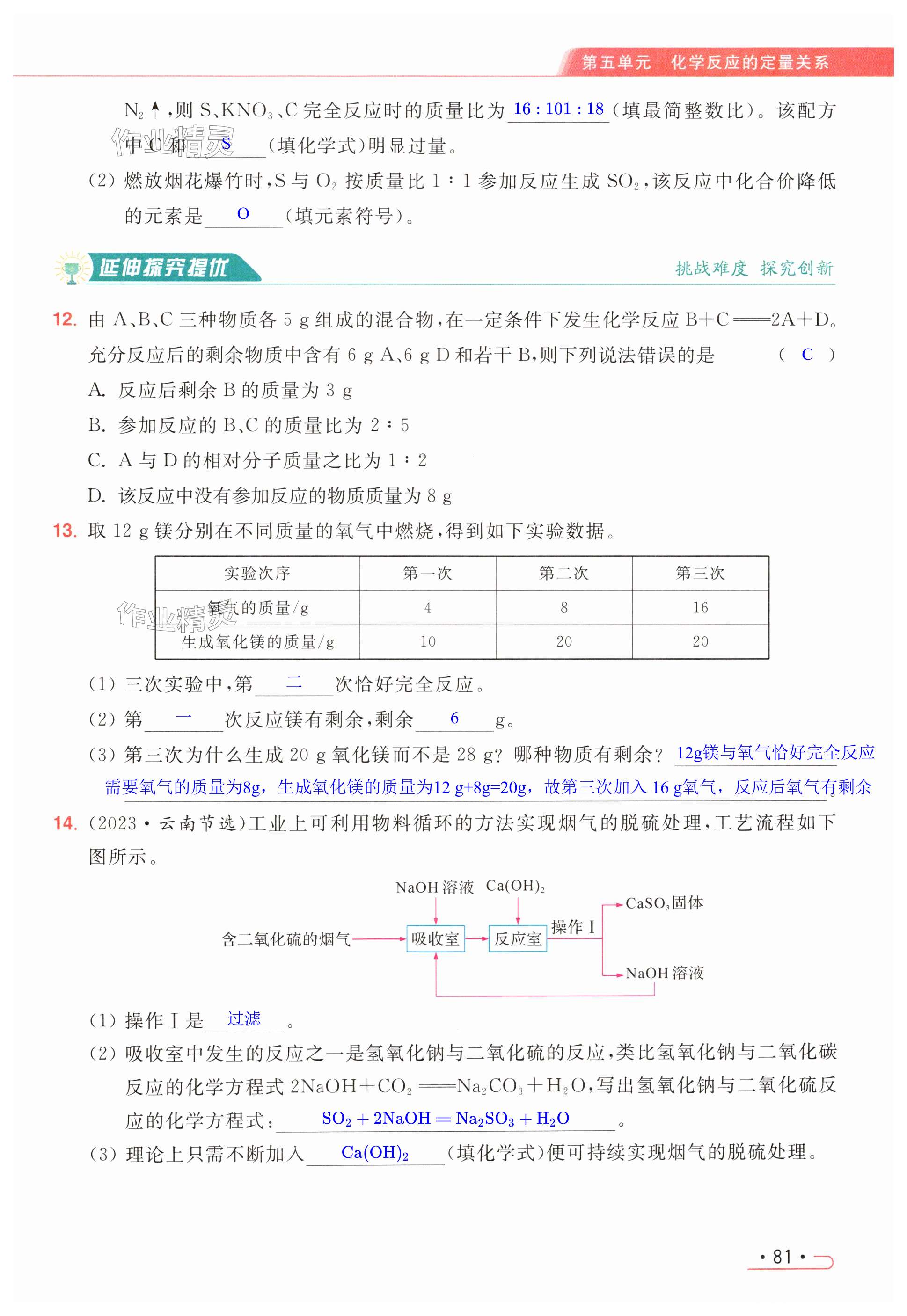 第81页