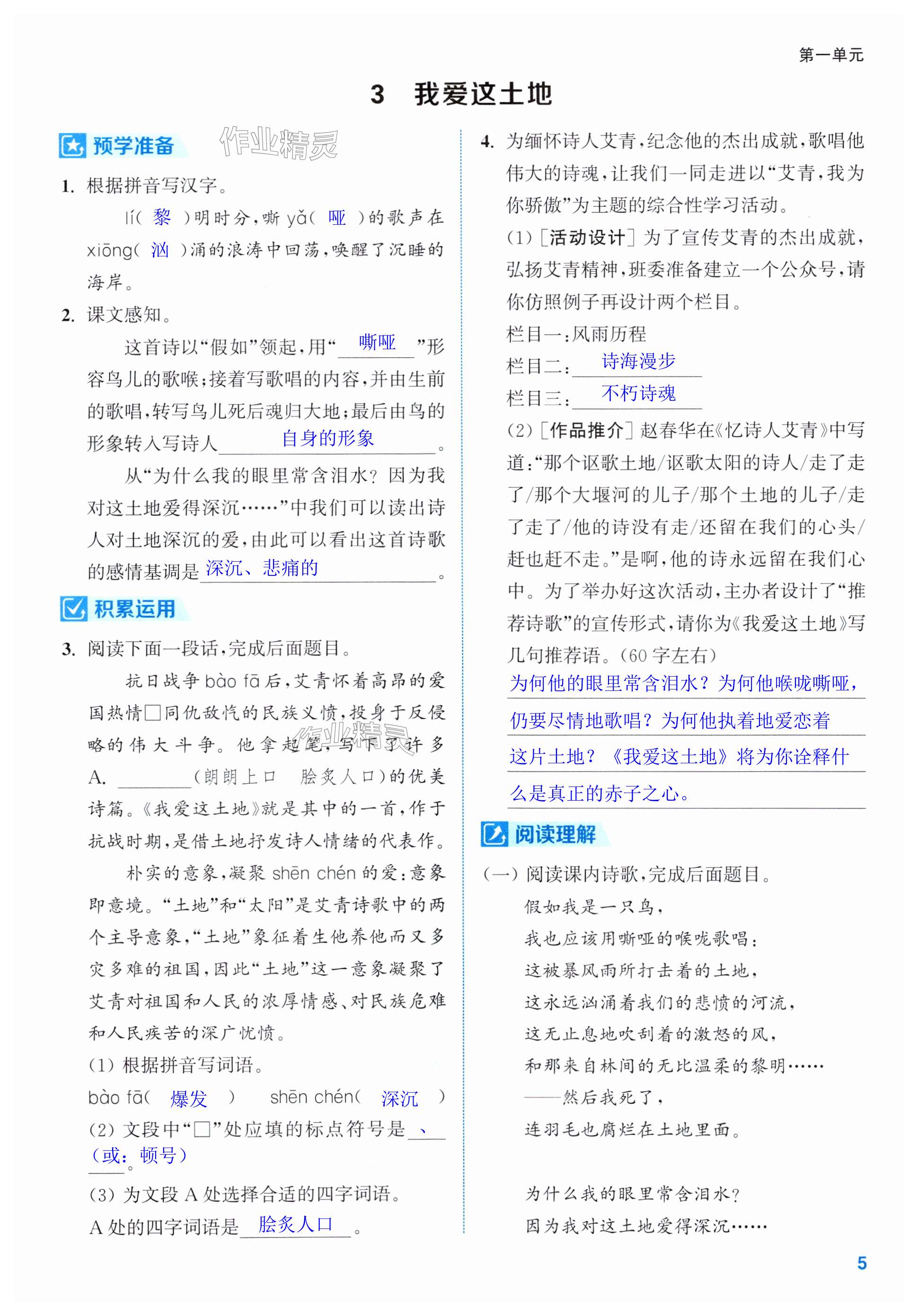第5页