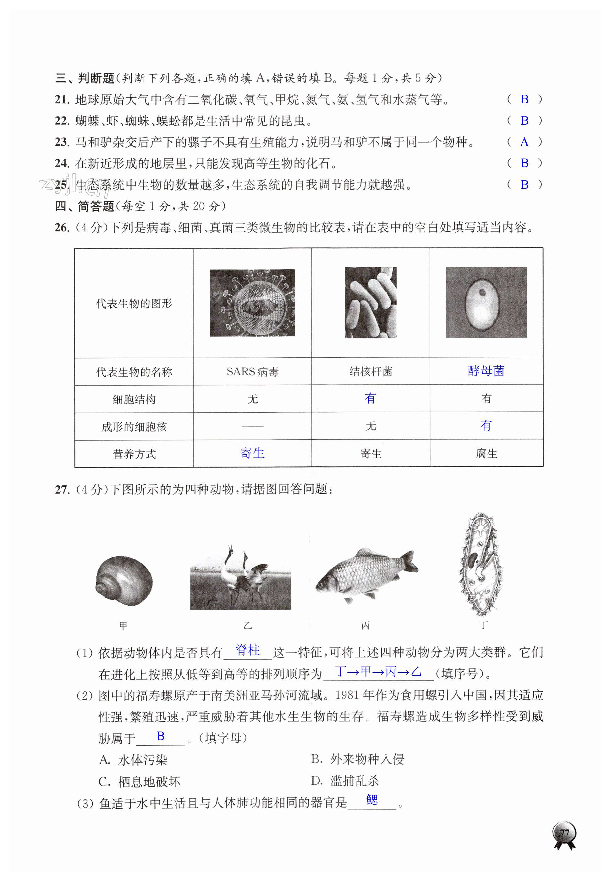 第77页